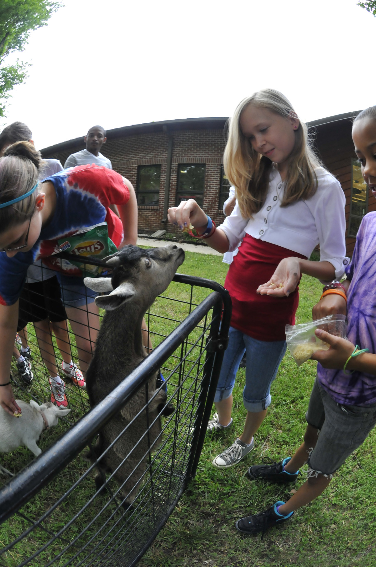 Petting zoo visits Arnold AFB's Camp Adventure