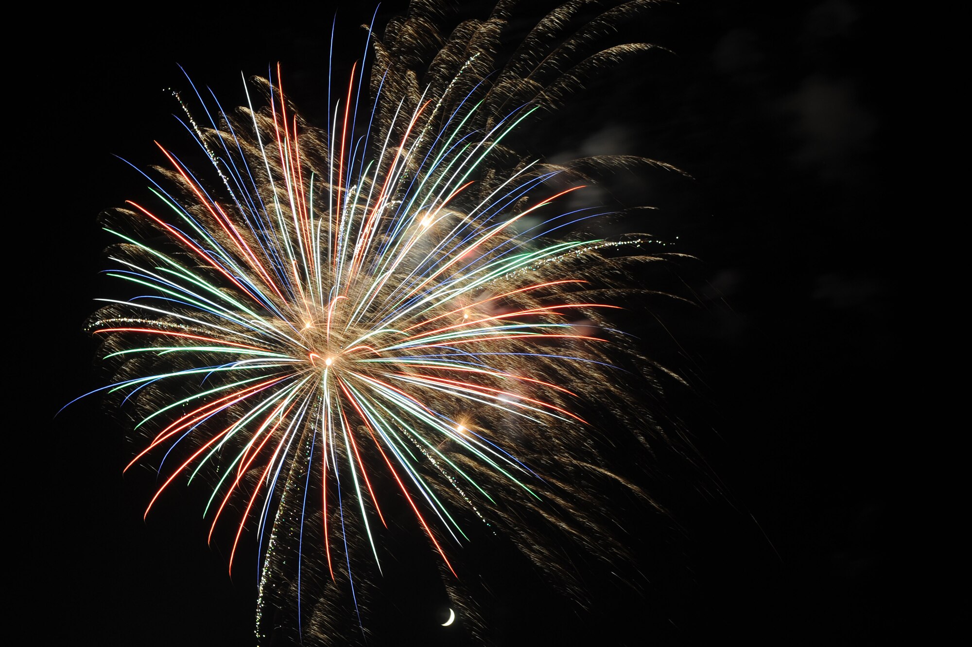 Fireworks light up the evening sky with a shower of vibrant colors during the Little Rock Air Force Base Fourth of July celebration at Little Rock Air Force Base, Ark.  The fireworks display capped off an afternoon of activities including the Air Mobility Command Icon contest, games and a family parade. (U.S. Air Force photo by Tech. Sgt. Chad Chisholm)