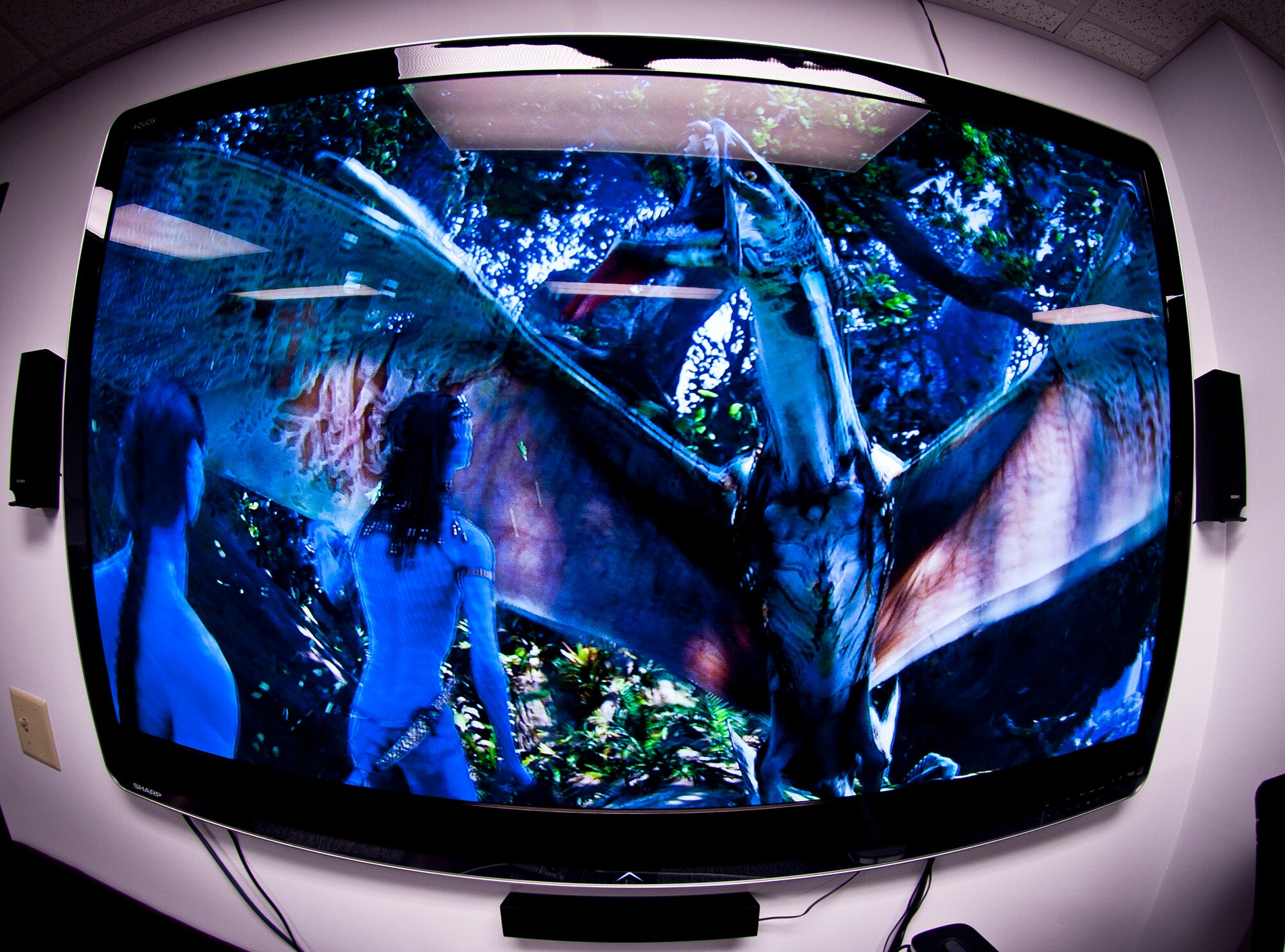 A scene from the movie Avatar is played on a 60-inch high-definition TV at the Komodo Center located in Bldg. 573 at Moody Air Force Base, Ga., July 6, 2011. Along with the TV, the Komodo Center has two Playstation 3 gaming consoles and an Xbox 360 for Airmen to use. (U.S. Air Force photo by Airman 1st Class Joshua Green/Released)
