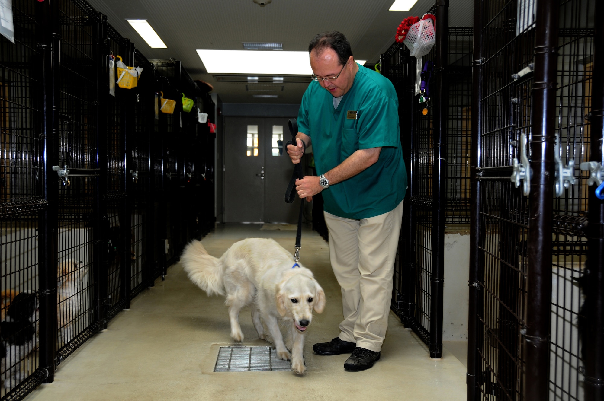 Animal pet care center 2025