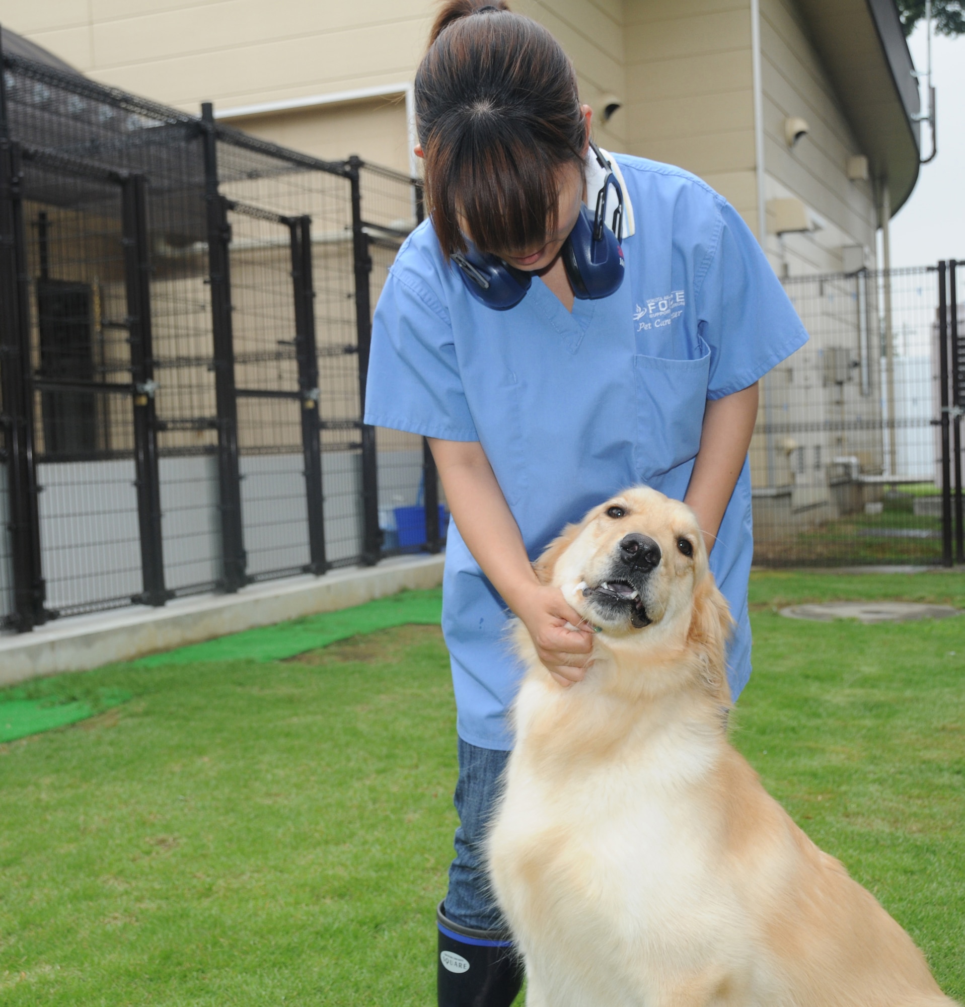 YOKOTA AIR BASE, Japan -- Nagisa Yoshizumi, Pet Care Center animal care taker, scratches the chin on Late, a golden retriever, at Yokota Air Base, Japan, July 7, 2011. The center gives the attention and care needed for animals to adjust while their owners are away. (U.S. Air Force photo/Airman John D. Partlow)