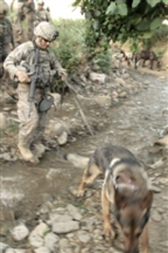 U.S. Army Sgt. Fred Roberts with the 554th Military Police Company holds on to the leash of his military working dog while returning from a patrol in Gerekheyl village, Nangarhar province, Afghanistan, on June 15, 2011.  