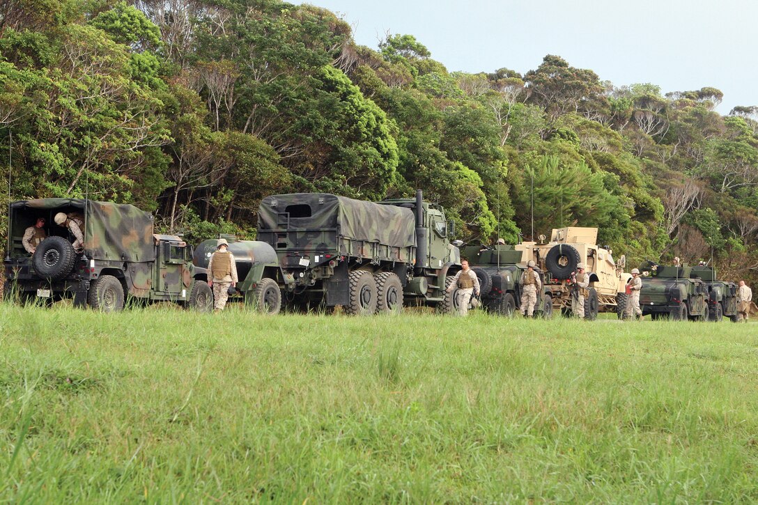 Marines with Motor Transport Company, Combat Assault Battalion, 3rd Marine Division, III Marine Expeditionary Force, dismount their tactical vehicles to set up camp at Landing Zone Cardinal July 12.