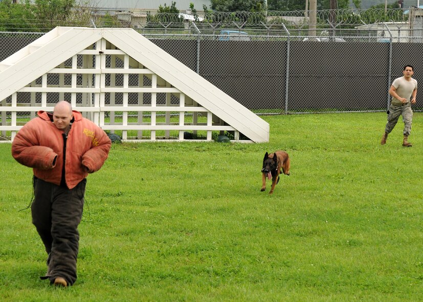 KUNSAN AIR BASE, Republic of Korea --Tech Sgt. Christopher Hair, 8th Logistics Readiness Squadron mechanic, attempts to run from a military working dog during a demonstration here July 11. The 8th Security Forces Squadron briefed and familiarized members from 8th LRS on dog handling as part of a camaraderie event. (U.S. Air Force photo/Senior Airman Ciara Wymbs)