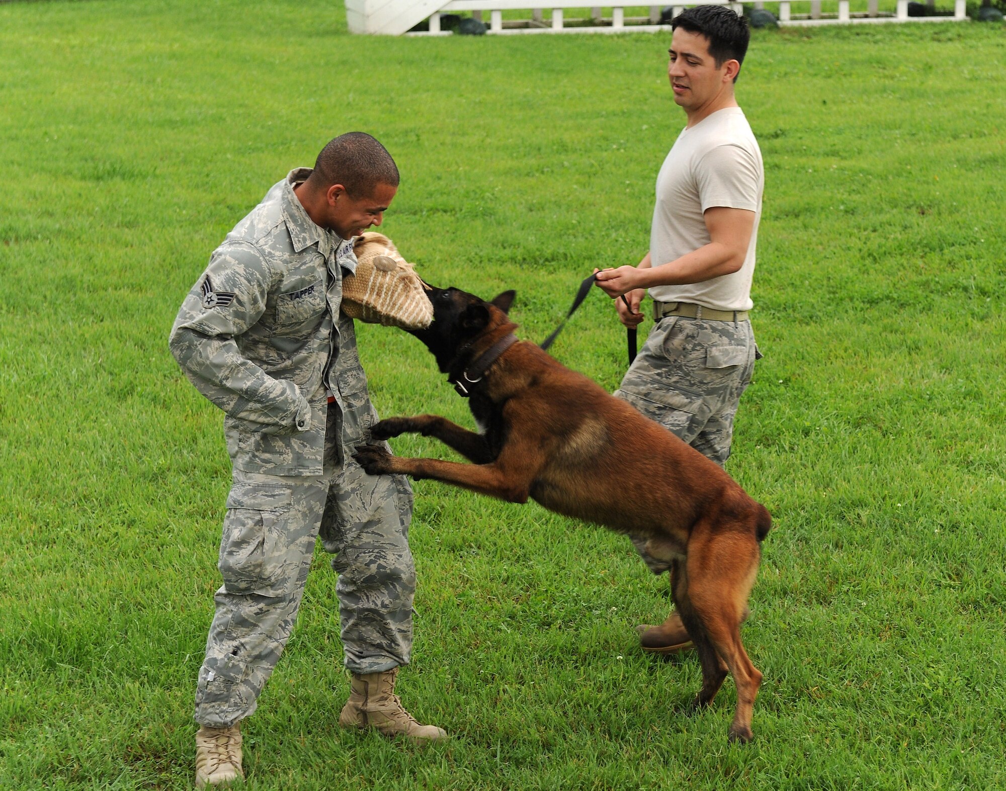 KUNSAN AIR BASE, Republic of Korea -- Senior Airman John Tapper, 8th Logistics Readiness Squadron mechanic, participates in canine training with Tech Sgt. Santiago Bernal, 8th Security Forces Squadron canine handler, here July 11. The 8th SFS briefed and familiarized members from 8th LRS on dog handling as part of a camaraderie event. (U.S. Air Force photo/Senior Airman Ciara Wymbs)
