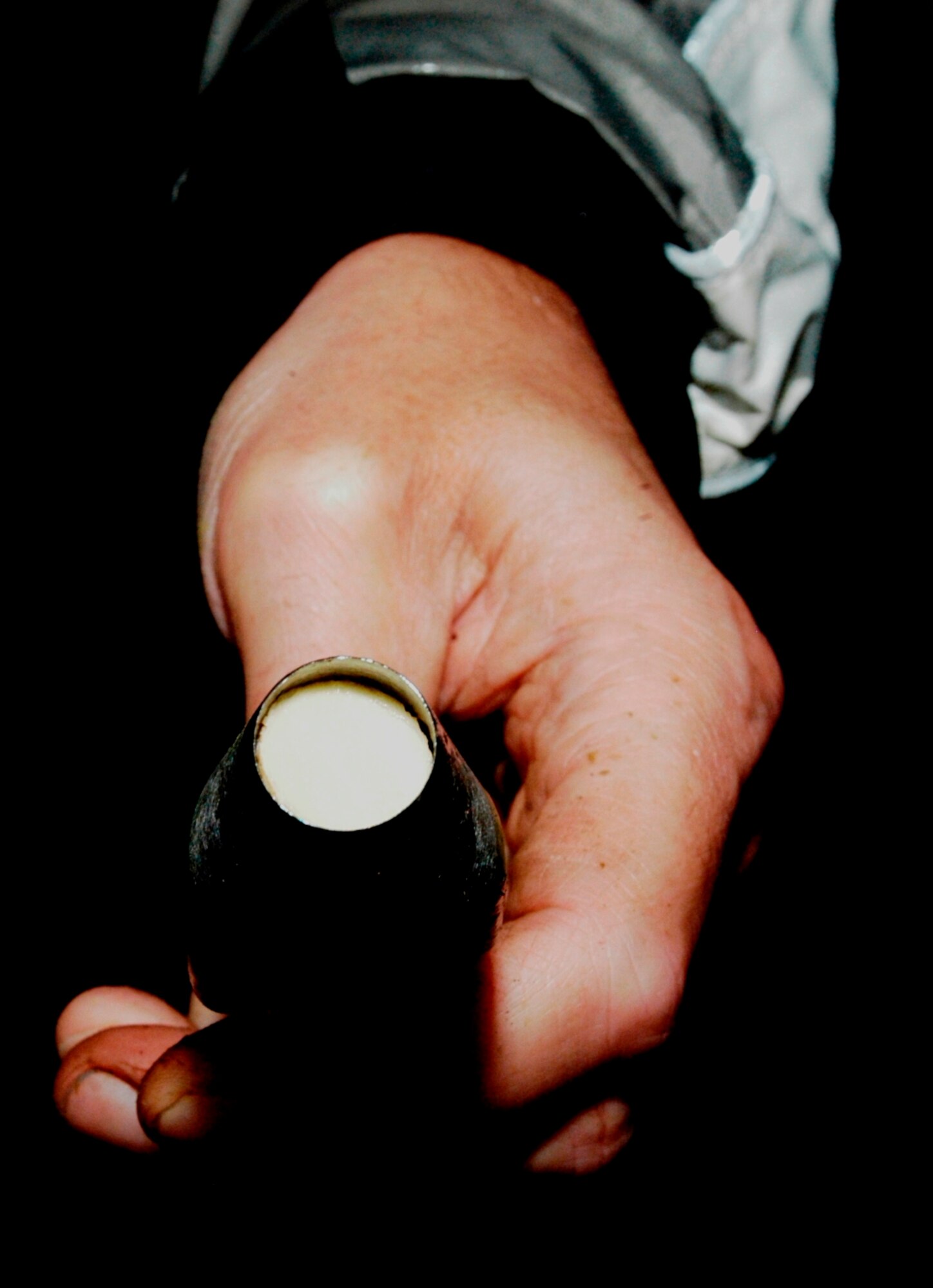 Professor Pierluigi (Enrico) Bonello holds a sample he took from an ash tree on base. (U.S. Air Force photo by Ted Theopolos)