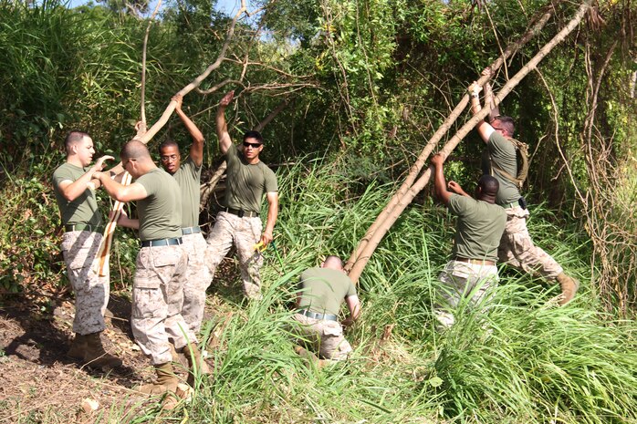 Iwakuni and Okinawa-based Marines and sailors work together to clear weeds and unwanted trees during a landscape beautification project at the Marabou Drive Park here July 15 as part of community relations projects planned in support of exercise Talisman Sabre 2011. More beautification projects at the park are planned to take place each weekend until the end of Talisman Sabre July 29. Certain areas of the park have been invaded by foreign plants and weeds that have choked and killed off much of the natural Australian vegetation here.