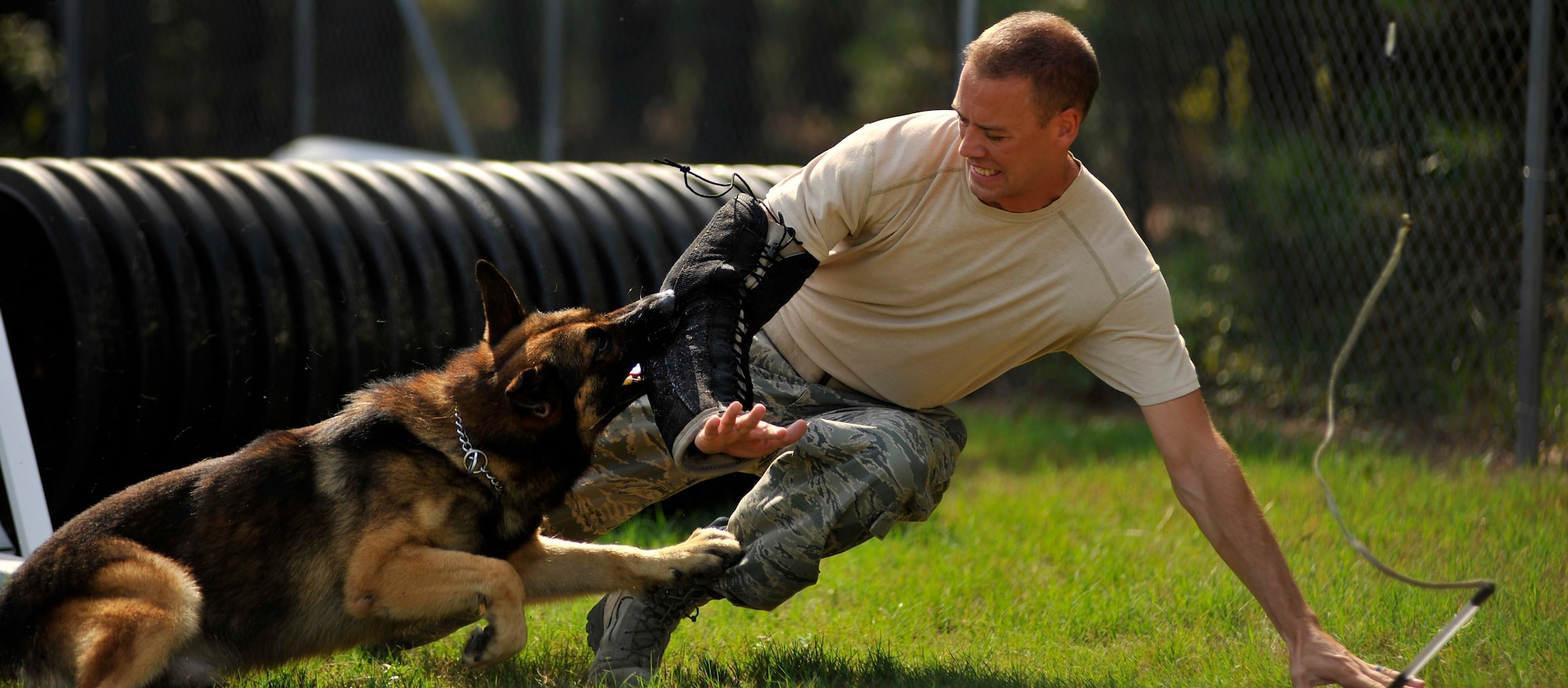 Tech. Sgt. Randall Blair, 20th Security Forces Squadron military working dog trainer, falls away from MWD Markey during suspect pursuit training at Shaw Air Force Base, S.C., July 13, 2011. The 20th SFS MWD trainers work hard to train and prepare dogs, like Markey, for real world situations, such as drug raids, patrols and other specialized mission functions for the Department of Defense and government agencies. (U.S. Air Force photo by Senior Airman Kenny Holston)(Released)

