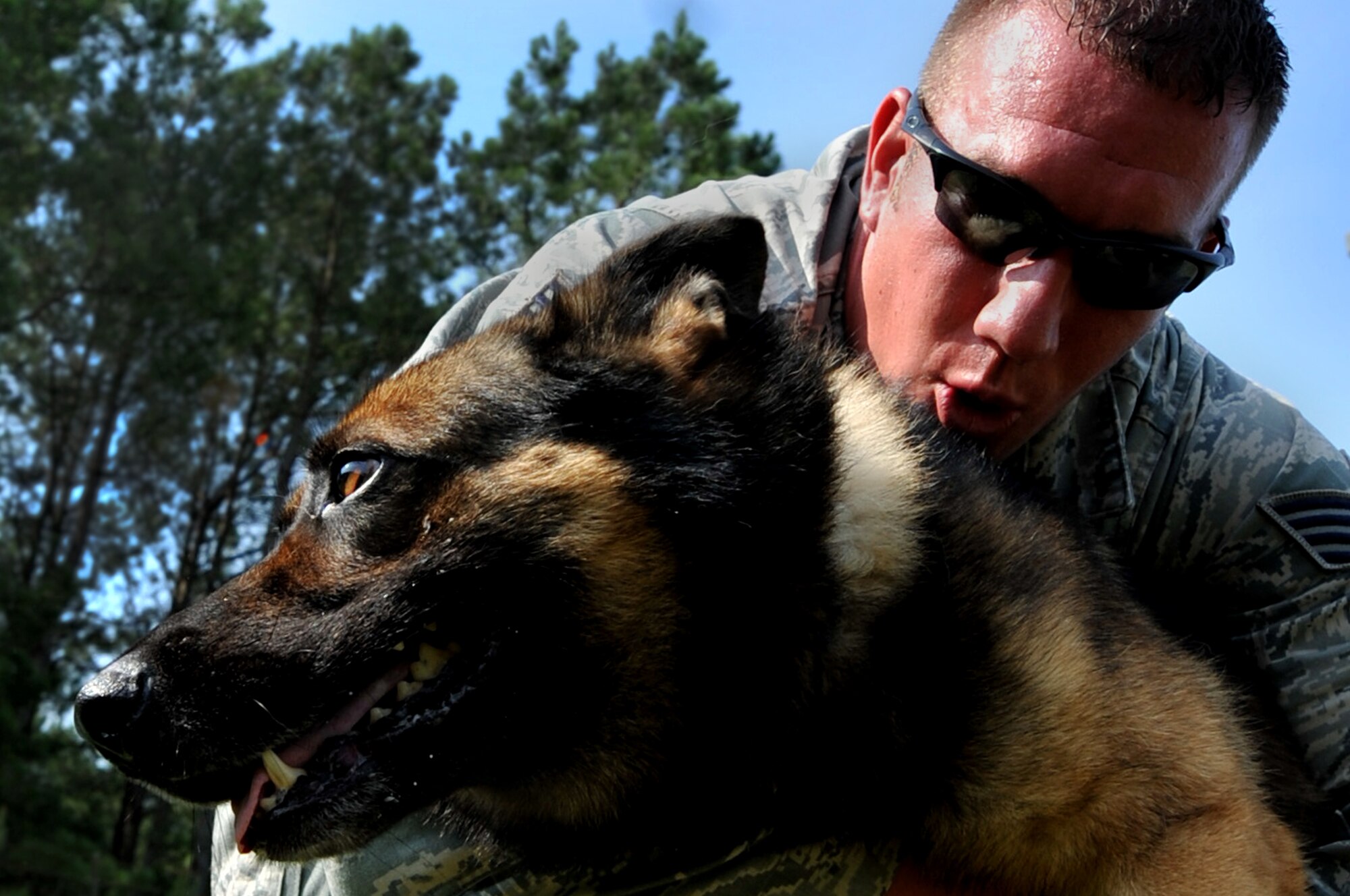 Staff Sgt. Jason Albrecht, 20th Security Forces Squadron senior Military Working Dog handler, praises MWD Markey after a job well done upon completion of an obedience training session at Shaw Air Force Base, S.C., July 13, 2011. The 20th SFS MWD trainers work hard to train and prepare dogs, like Markey, for real world situations, such as drug raids, patrols and other specialized mission functions for the Department of Defense and government agencies. (U.S. Air Force photo by Senior Airman Kenny Holston)(Released)

