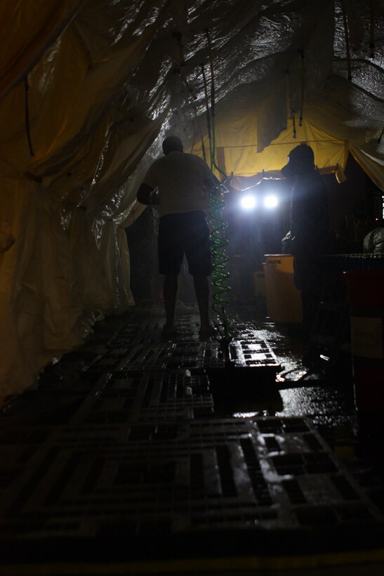 Petty Officer 2nd Class Joshua D. Croxton, the blood coordinator for 2nd Marine Logistics Group (Forward), carries a box of blood to the Camp Bastion, Afghanistan, rotary wing so it can be shipped to a forward operating base, July 16, 2011. Croxton, a Niceville, Fla., native, restructured the way blood is distributed throughout Helmand province, Afghanistan, which resulted in approximately a 30 percent decrease of wasted blood.