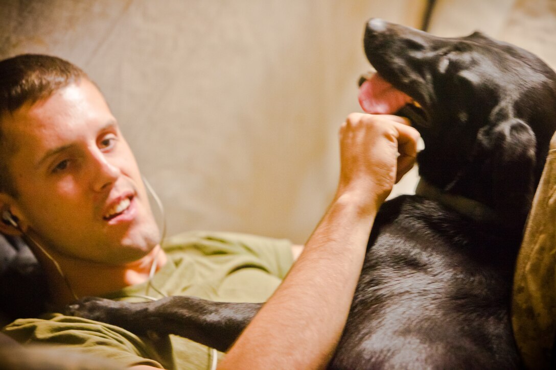 Mogadore, Ohio, native Lance Cpl. Ryan Heigelmann, a dog handler with 2nd Battalion, 8th Marine Regiment, plays with his dog, Cpl. Gretchen.  The two were paired several months ago after Heigelmann’s dog Sheriff was injured crossing a bridge
