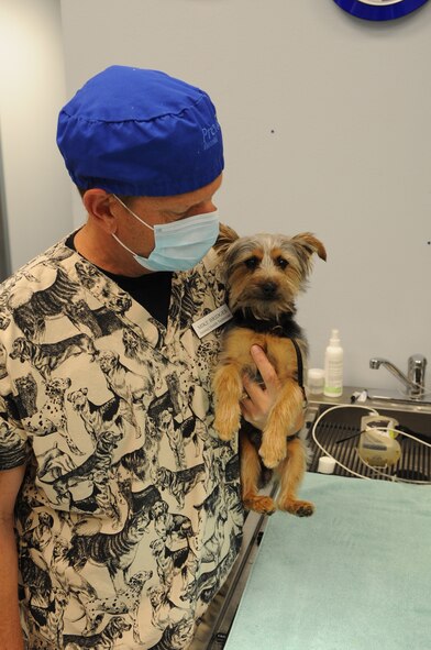 Veterinary Technician Mike Bridges carries a dog over to a table at the vet clinic on Barksdale Air Force Base, La., April 13. The clinic performs parasite testing, heartworm testing, micro-chip implanting, spay and neuters, vaccinations, routine dental procedures and surgeries. (U.S. Air Force photo/Airman 1st Class Micaiah Anthony)(RELEASED)