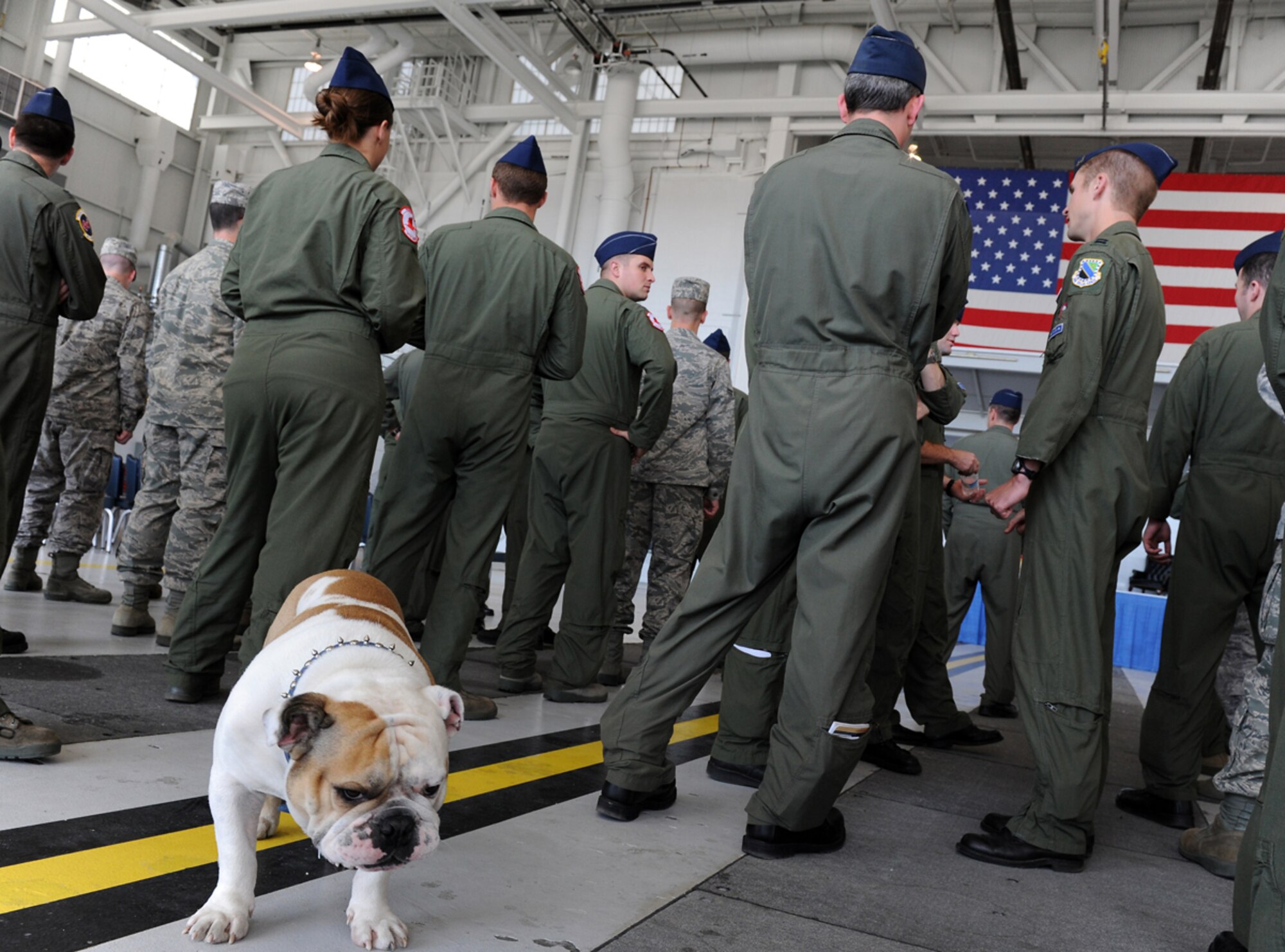 JOINT BASE ELMENDORF-RICHARDSON, Alaska -- "Fado," the mascot for the 525th Fighter Squadron, grimmaces, July 15, in Hangar 20.  U.S. Air Force Col. William G. Routt turned over command of the group to Lt. Col. Derek C. France as Col. John K. McMullen officiated before gathered family members, distinguished guests and military officers and enlisted personnel.  (U.S. Air Force photo/Justin Connaher)