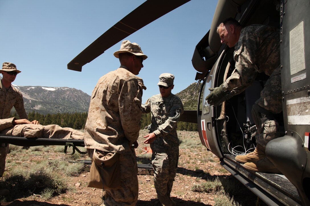 BRIDGEPORT MOUNTAIN WARFARE TRAINING CENTER, Calif. – California National Guardsmen with the 1/168th General Support Aviation Battalion train Marines how to do proper medical evacuations, July 23, 2011. The National Guardsmen supported the Marines as they trained for their final exercise during Javelin Thrust.