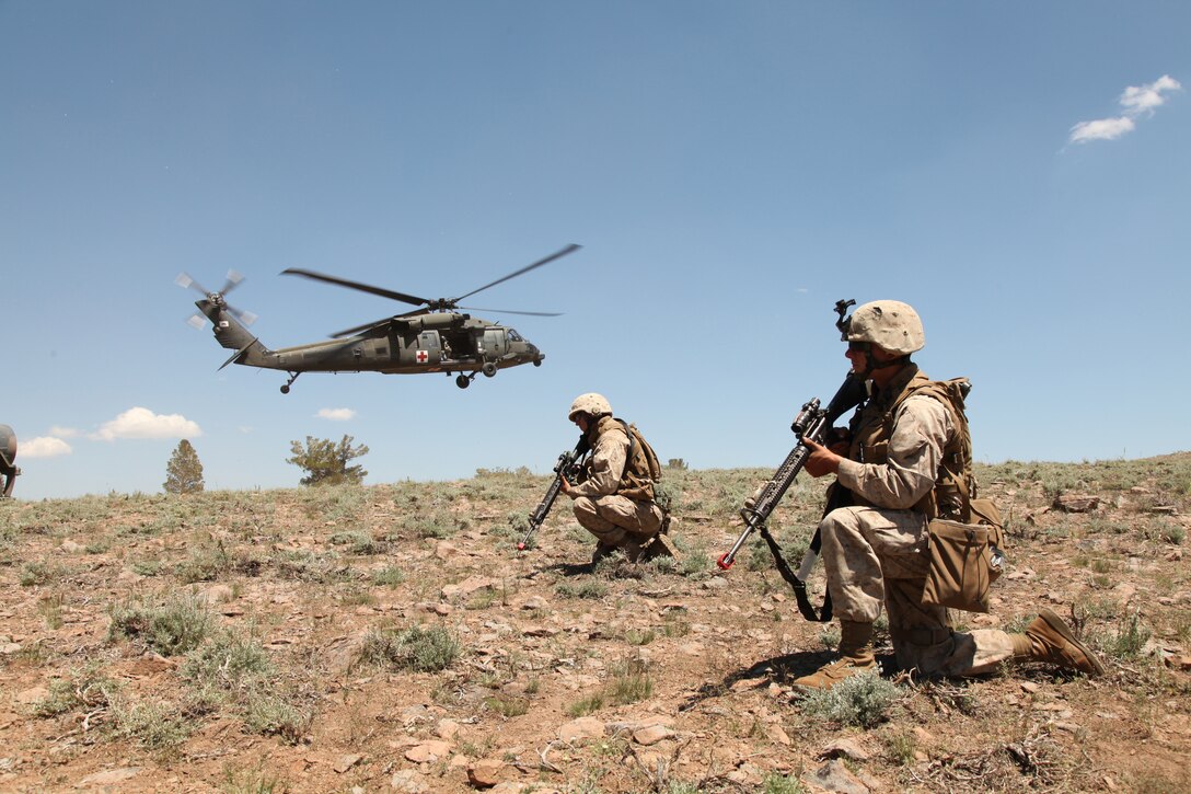 Marines with 2nd Battalion, 24th Marine Regiment, create a secure perimeter in the Marine Corps Mountain Warfare Training Center training area July 23, 2011.