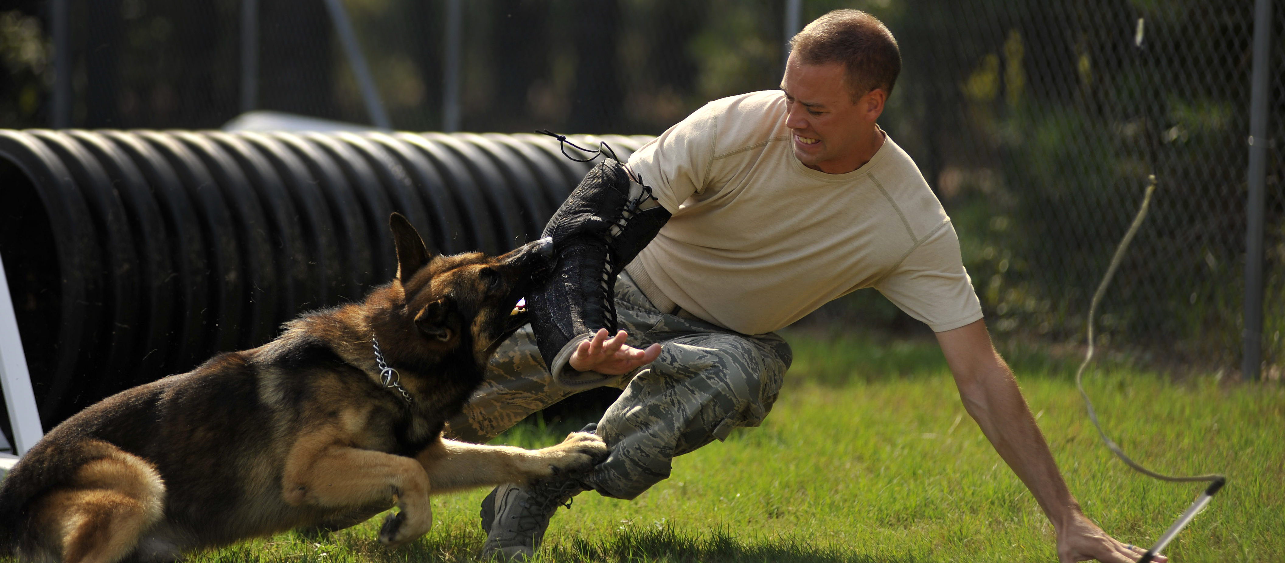 20th Security Forces Squadron Military Working Dog 