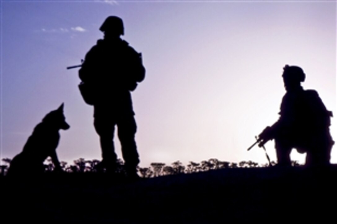 Two U.S. Marines and a military working dog keep a look out during a mission in Helmand province, Afghanistan, July 20, 2011. The Marines are assigned to the Military Working Dog Platoon, Military Police Support Company, 2nd Marine Expeditionary Force Headquarters Group.