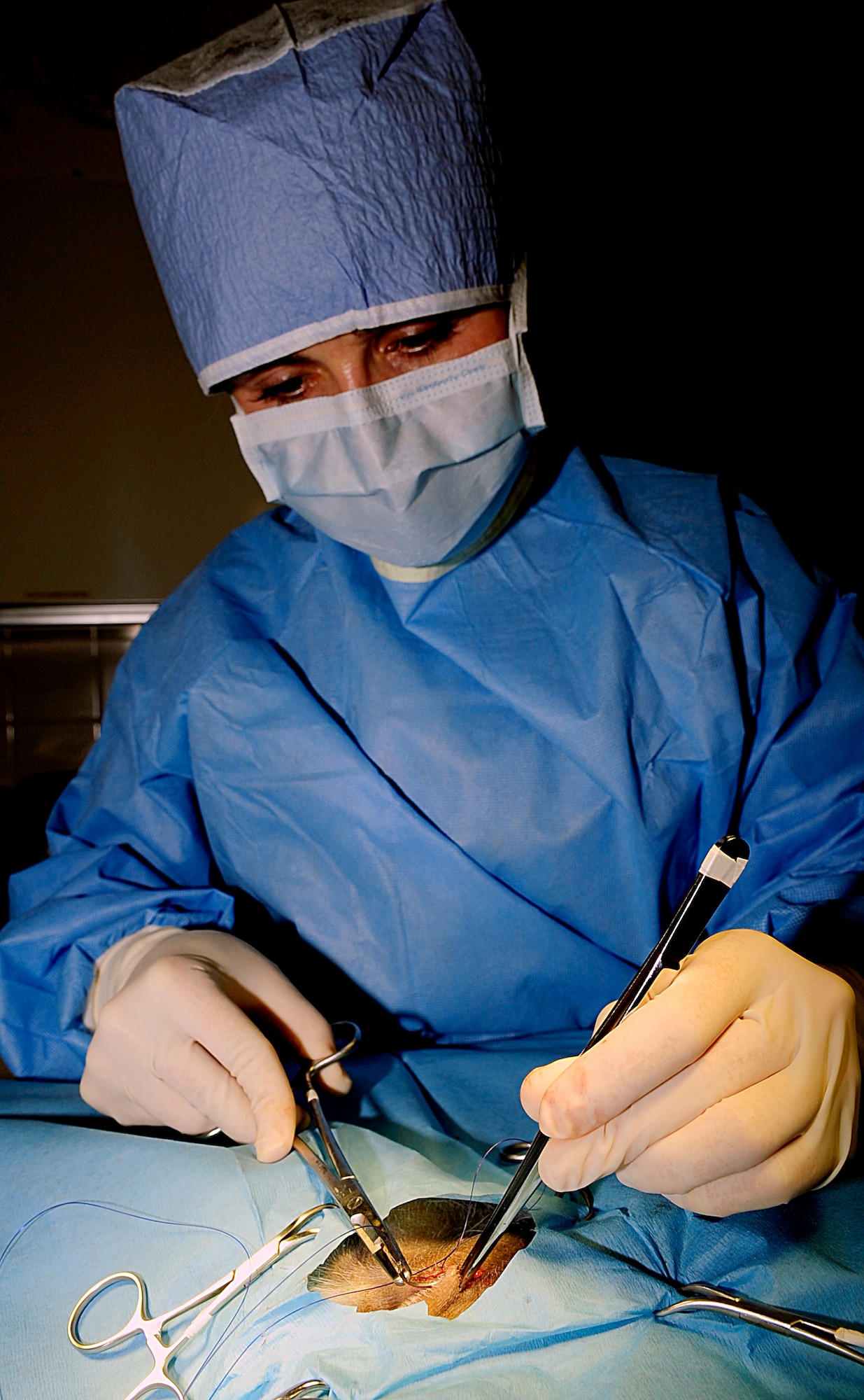 RAF FELTWELL, England – Dr. Amber Acker-Sanborn, veterinarian, sutures the incision point on a dog at the RAF Feltwell Veterinary Clinic, after the completion of a surgery July 21, 2011. The clinic uses absorbable sutures to close the incision point, so the pet and their owner don’t have to make another visit to have them removed. (U.S. Air Force photo/Senior Airman Ethan Morgan) 