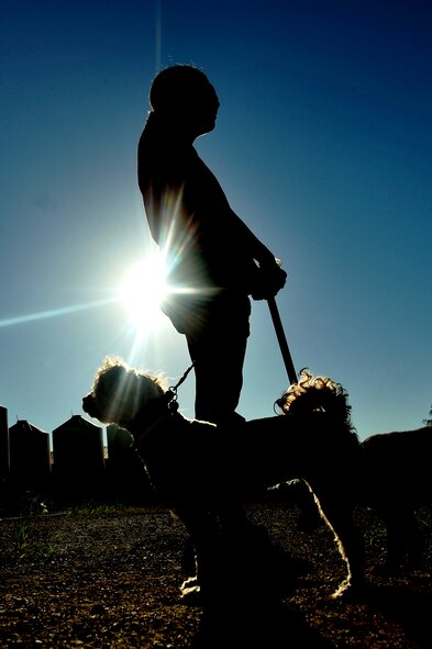 MINOT, N.D. -- Airman 1st Class Jessica McConnell, 5th Bomb Wing public affairs journalist, walks one of the many dogs staying at the Souris Valley animal shelter here, July 22. The Souris Valley animal shelter is boarding pets at the North Dakota State University Extension Center, and encourages anyone who had to evacuate due to recent flooding, to board their pet and not leave them behind. (U.S. Air Force photo/ Senior Airman Jesse Lopez) 