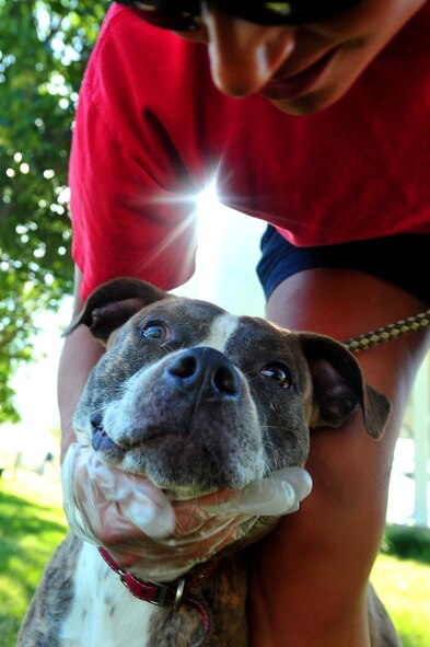 MINOT, N.D. -- Airman 1st Class Jessica McConnell, 5th Bomb Wing public affairs journalist, pets one of the many dogs staying at the Souris Valley animal shelter here, July 22. The Souris Valley animal shelter is boarding pets at the North Dakota State University Extension Center, and encourages anyone who had to evacuate due to recent flooding, to board their pet and not leave them behind. (U.S. Air Force photo/ Senior Airman Jesse Lopez) 