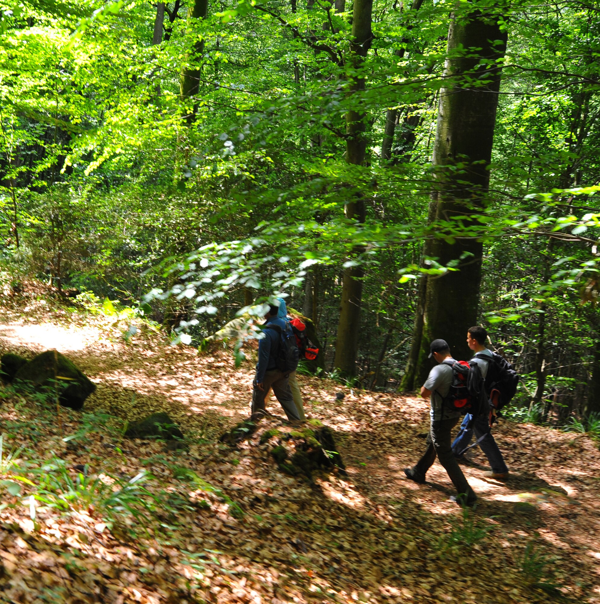 ECHTERNACH, Luxembourg – Spangdahlem Air Base members hike along a forest path during a caving and rappelling trip here July 23. Spangdahlem Outdoor Recreation offers caving and rappelling trips annually from April to August for people of all skill levels. (U.S Air Force photo/Airman 1st Class Dillon Davis)