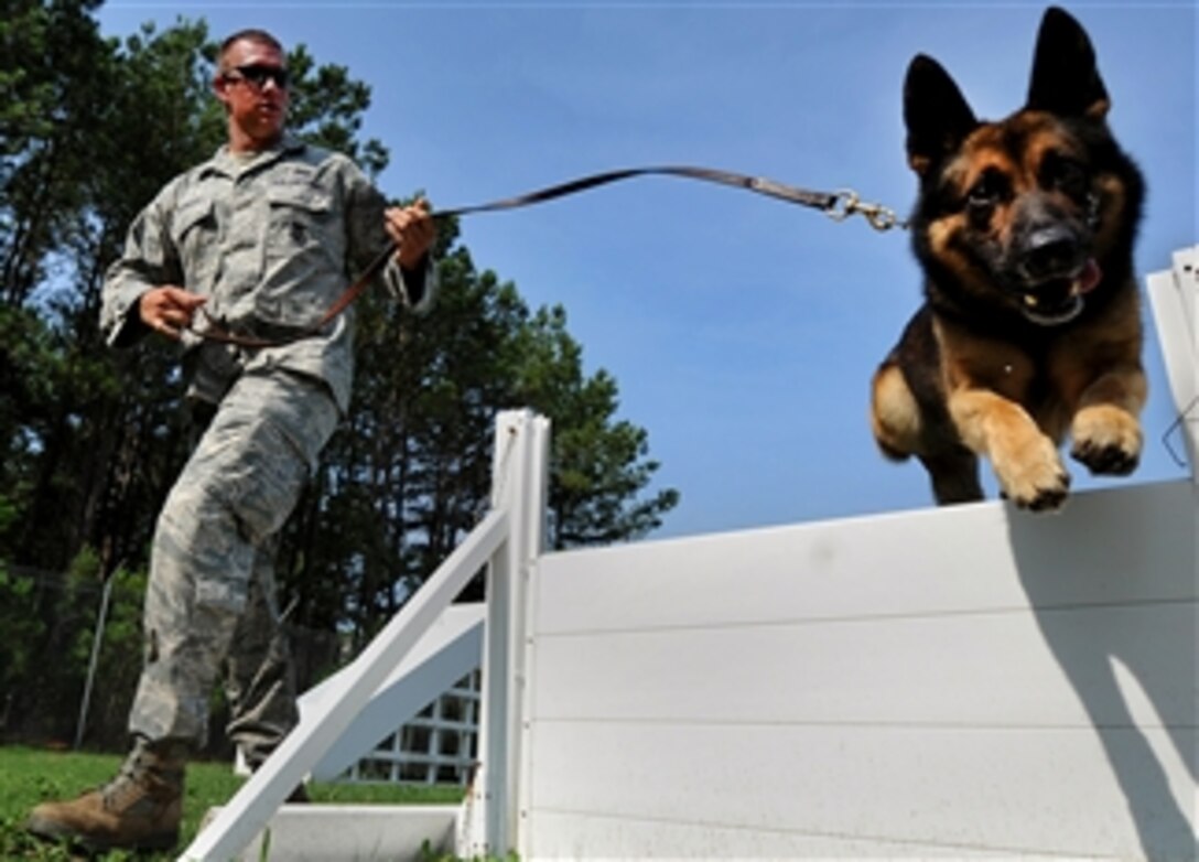 Staff Sgt. Jason Albrecht, a 20th Security Forces Squadron senior military working dog handler, runs Markey through an obstacle course during an obedience training session at Shaw Air Force Base, S.C., on July 13, 2011.  The 20th Security Forces Squadron military working dogs trainers work hard to train and prepare dogs, like Markey, for real world situations, such as drug raids, patrols and other specialized mission functions for the Department of Defense and other government agencies.  