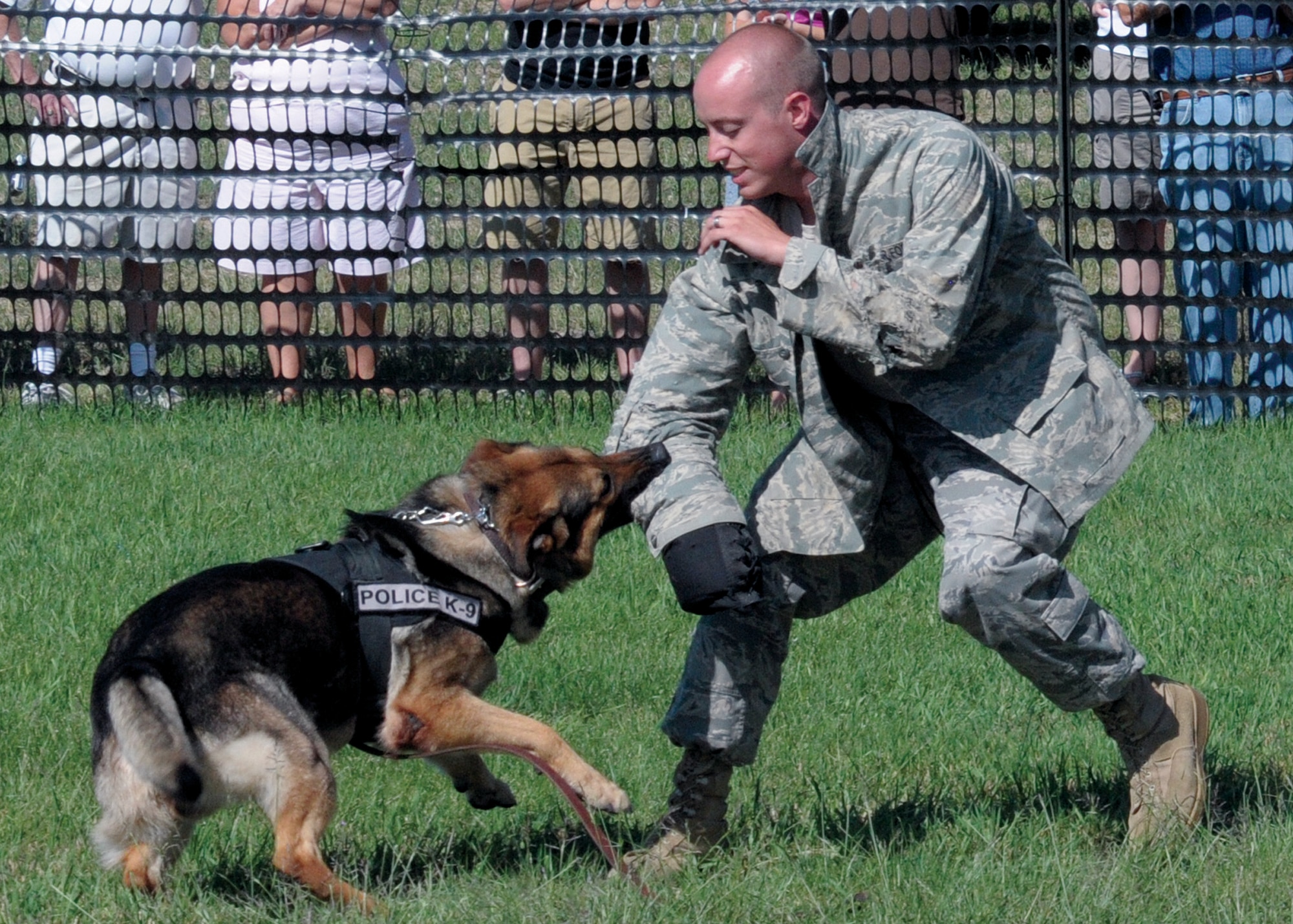 Bady, 90th Security Forces Squadron working dog, demonstrates attack maneuvers against attacker Staff Sgt. Nicholas White, 90th SFS, during a demonstration here. (U.S. Air Force photo by Blaze Lipowski)