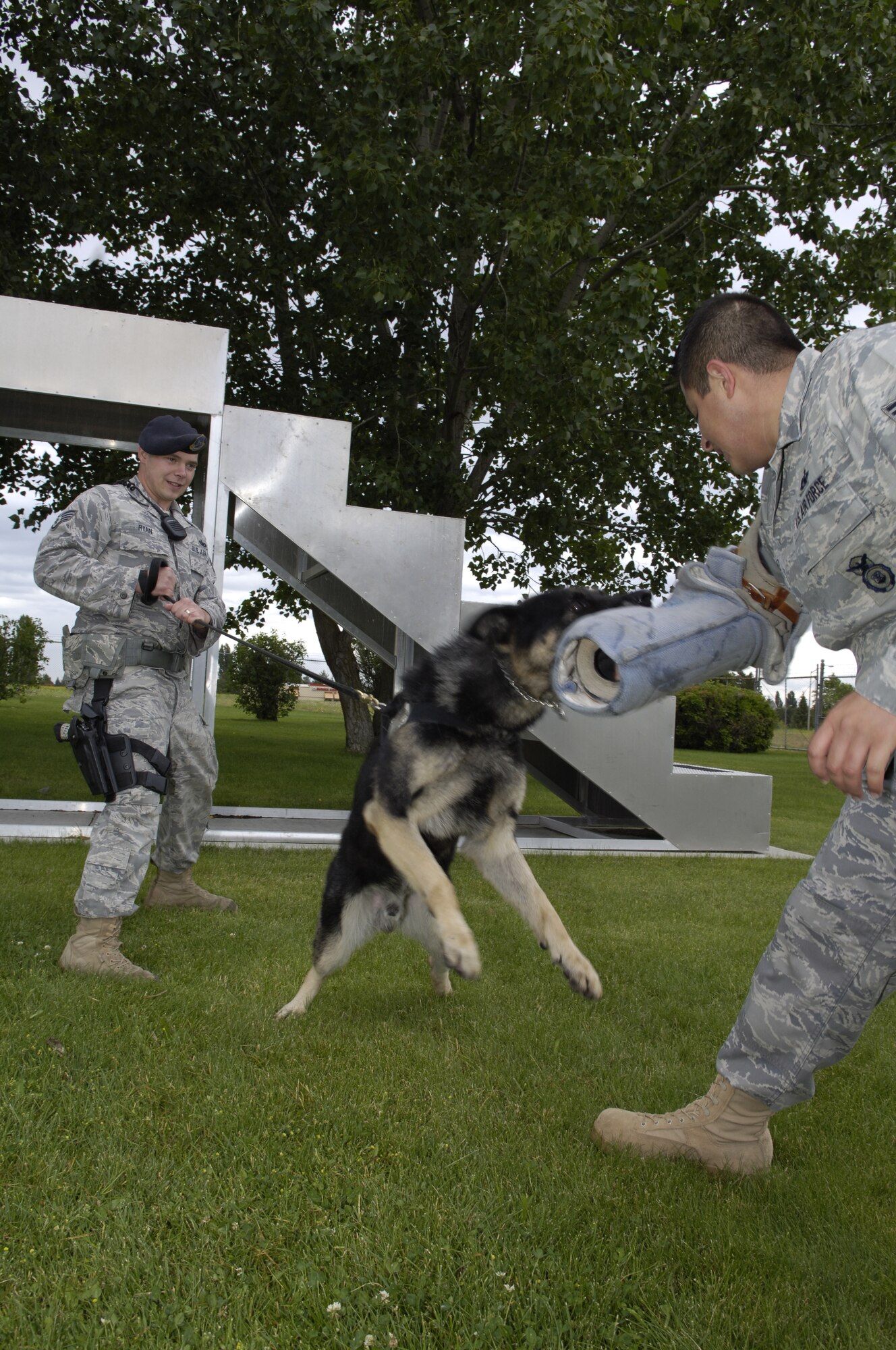 Helena, 92nd Security Forces Squadron working dog, lunges at Staff Sgt. Gerald Martinez during bite exercise July 14, 2011. Martinez is a kennel master with the 92nd SFS military working dog unit. As, a handler he oversees training done within the unit. (U.S. Air Force photo/ Senior Airman Natasha E. Stannard)