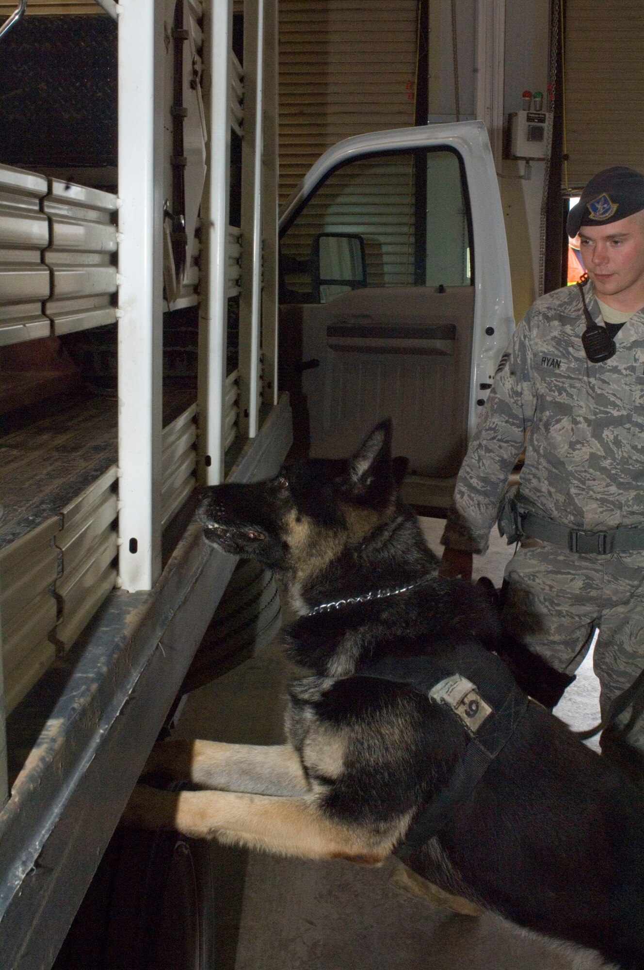 Staff Sgt. Shawn Ryan, 92nd Security Forces working dog handler, performs vehicle inspections with Bonno, 92nd Security Forces working dog, July 14, 2011. These inspections are done to ensure hazards don’t make it on military installations. (U.S. Air Force photo/ Senior Airman Natasha E. Stannard)