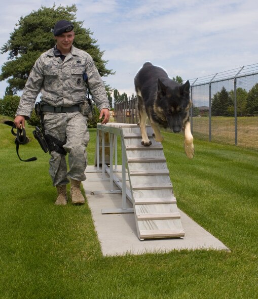 Staff Sgt. Shawn Ryan, 92nd Security Forces military working dog handler, watches as Helena, 92nd Security Forces military working dog, balances on obstacles at the military working dog obstacle course here July 14, 2011, at Fairchild Air Force Base, Wash. The obstacle course is made up of several obstacles for the dogs to run, jump and balance on. (U.S. Air Force Photo/Senior Airman Natasha E. Stannard) 