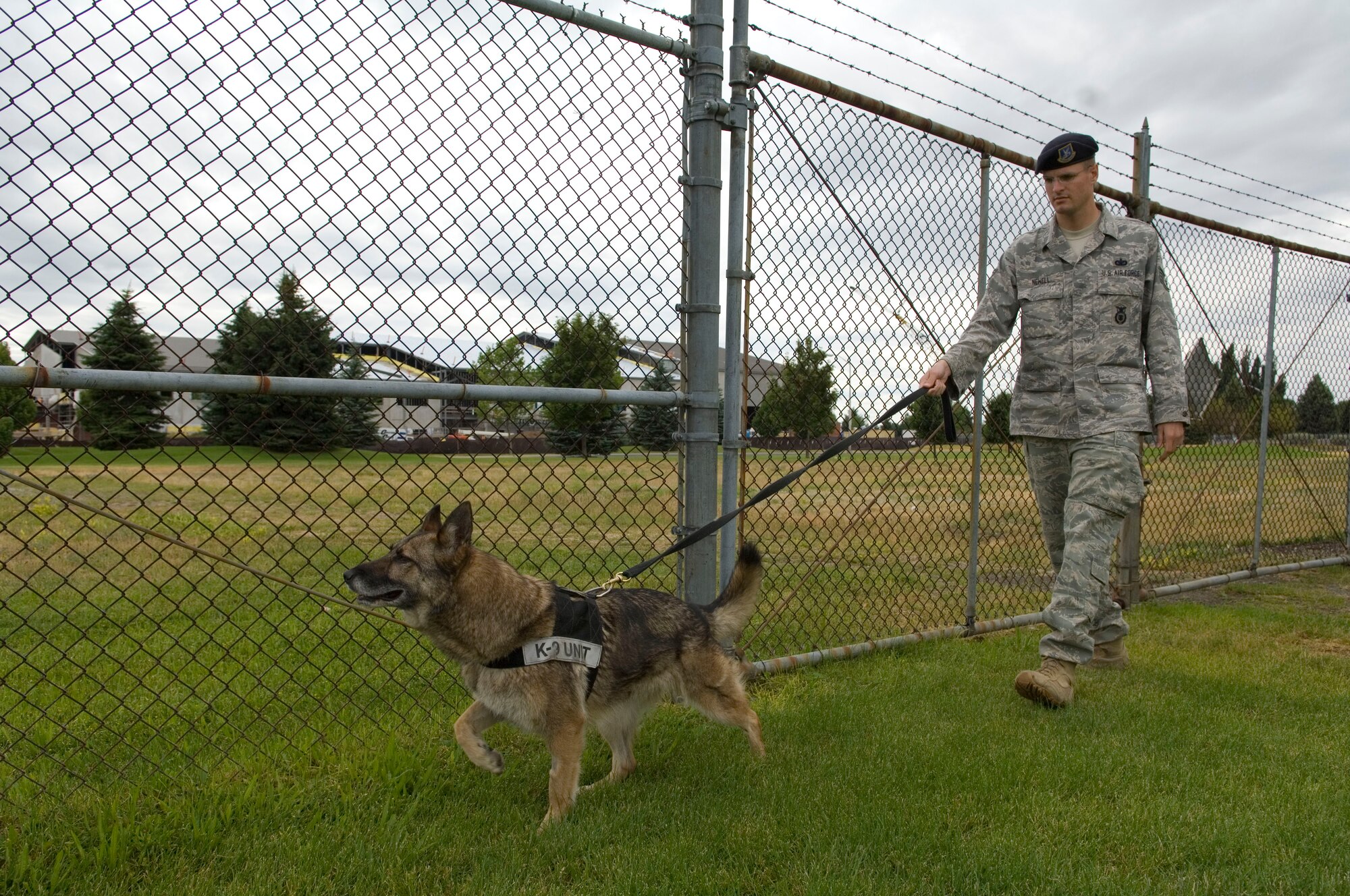 Helena, 92nd Security Forces working dog, is taken to the obstacle course here July 14, 2011. Fairchild Military working dogs go through this course at least once a day.  (U.S. Air Force photo/ Senior Airman Natasha E. Stannard)