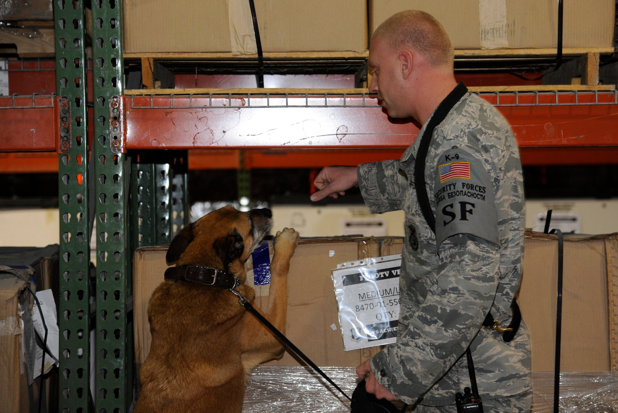 Staff Sgt. Christopher Fall has Lucky sniff for explosives during a proficiency training session in the Expeditionary Theater Distribution Center at the Transit Center at Manas, Kyrgyzstan, July 28. Military working dogs at the Transit Center participate in explosive detection training exercises several times a month to ensure their skills remain sharp. Fall is a 376th Expeditionary Security Forces Squadron military working dog handler. Fall and Lucky are deployed here from Fairchild Air Force Base, Wash. (U.S. Air Force photo/Tech. Sgt. Tammie Moore)