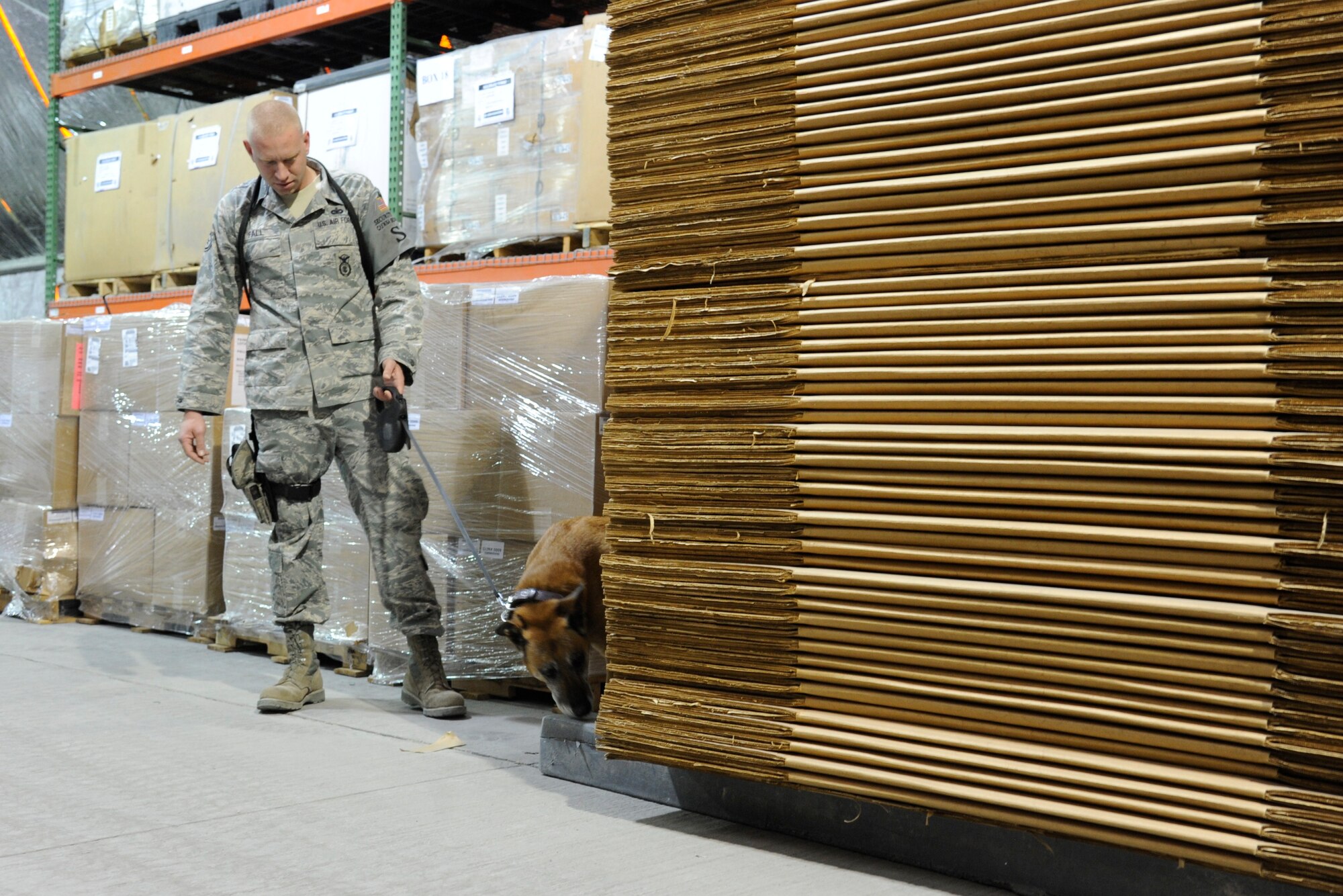 Staff Sgt. Christopher Fall watches as Lucky conducts a search of the Expeditionary Theater Distribution Center at the Transit Center at Manas, Kyrgyzstan, during a proficiency training session July 28. Military working dogs at the Transit Center participate in a variety of training exercises to ensure their skills remain sharp. Fall is a 376th Expeditionary Security Forces Squadron military working dog handler. Fall and Lucky are deployed here from Fairchild Air Force Base, Wash. (U.S. Air Force photo/Tech. Sgt. Tammie Moore)