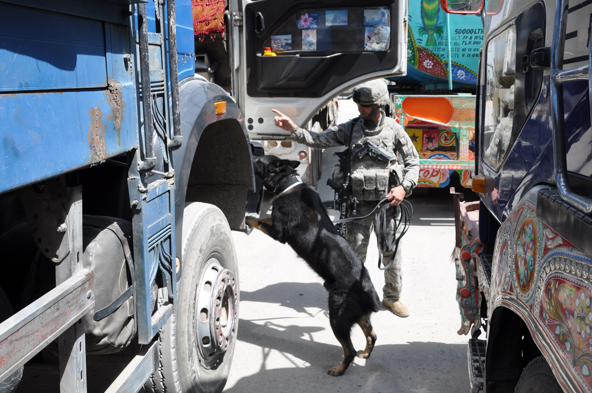 BAGRAM AIRFIELD, Afghanistan -- Senior Airman Brandon Edwards, 455th Expeditionary Security Forces Squadron military working dog handler, directs his dog, Waldo, to search a vehicle for prohibited items July 26, 2011. The canine’s heightened sense of smell makes it a valuable asset in detecting and preventing illegal drugs and explosives from entering Bagram Airfield. (U.S. Air Force photo/Staff Sgt. John Wright)