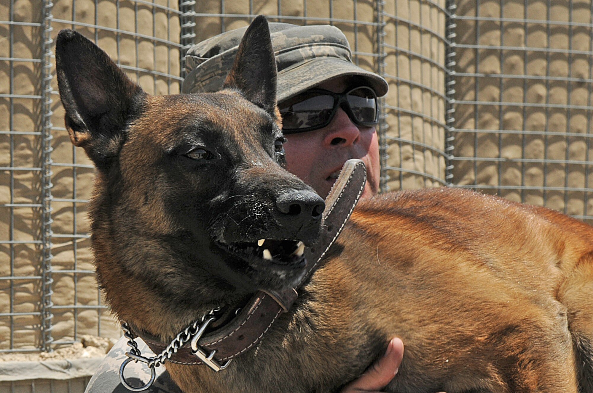 BAGRAM AIRFIELD, Afghanistan -- Tech. Sgt. George Shepherd, 455th Expeditionary Security Forces Squadron military working dog handler, holds his dog, Aris, here July 27, 2011. The 455 SFS MWD handlers work side by side with their dogs searching vehicles for illegal drugs and explosives. (U.S. Air Force photo/Senior Airman Krista Rose)