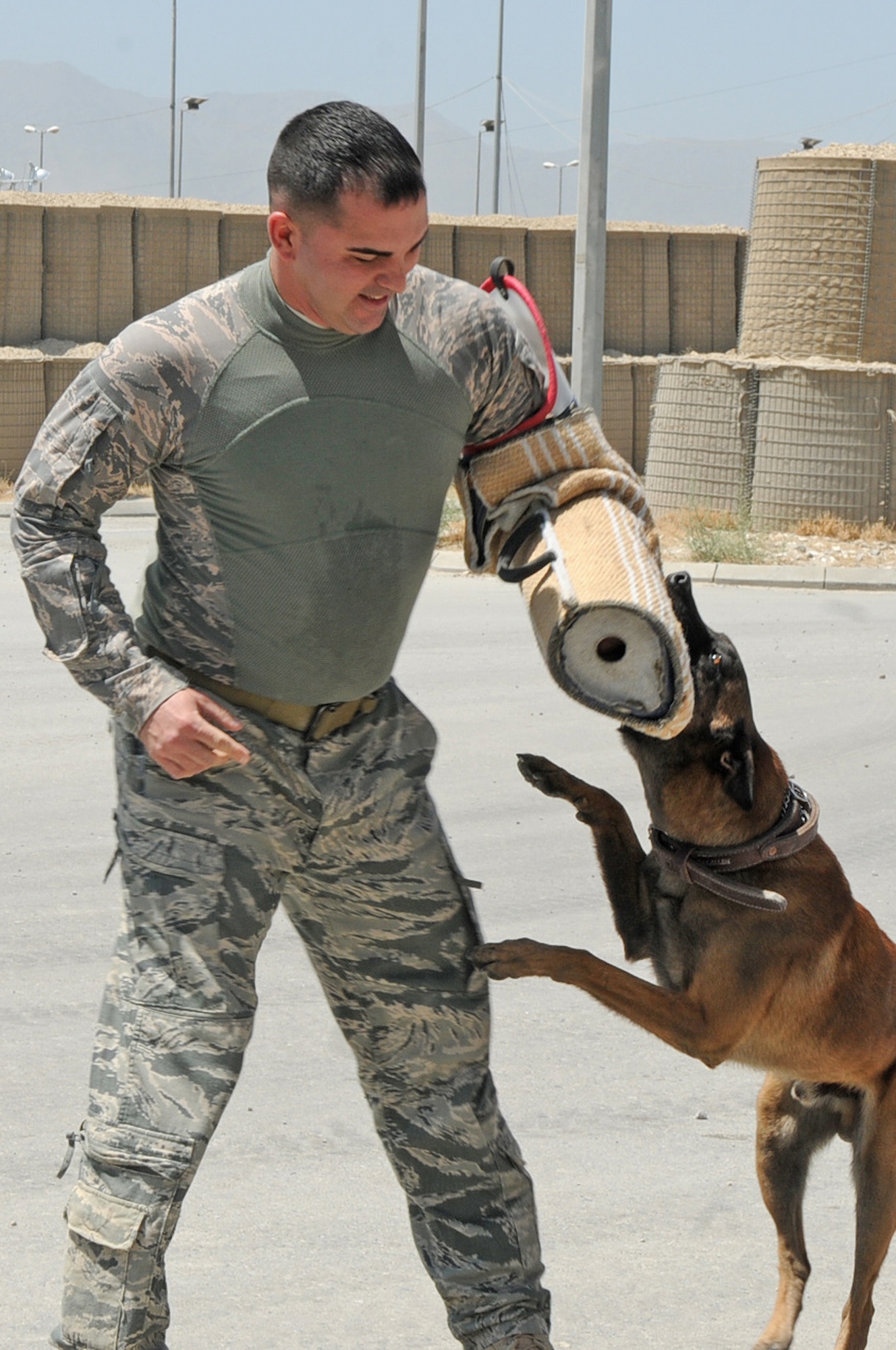 BAGRAM AIRFIELD, Afghanistan -- Military working dog Aris chomps down on "the bad guy," played Staff Sgt. Bruce Martinez, 455th Expeditionary Security Forces Squadron military working dog handler, here July 27, 2011. The 455 SFS MWD handlers work side by side with their dogs, searching vehicles for illegal drugs and explosives. (U.S. Air Force photo/Senior Airman Krista Rose)