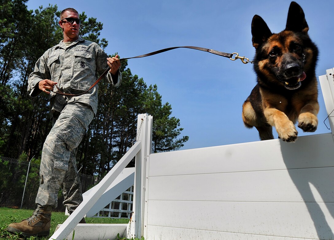 Staff Sgt. Jason Albrecht runs military working dog, Markey, through an obstacle course July 13, 2011, Shaw Air Force Base, S.C., during an obedience training session. Albrecht is a senior military working dog handler assigned to the 20th Security Forces Squadron, and Markey is a military working dog. (U.S. Air Force photo/Senior Airman Kenny Holston)