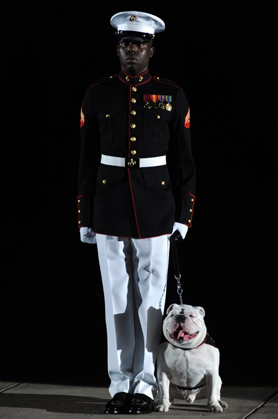 Cpl. Christopher Harris, a handler for the official mascot of the Marine Corps, stands with Cpl. Chesty XIII on centerwalk during a Friday Evening Parade at Marine Barracks Washington July 29, 2011.