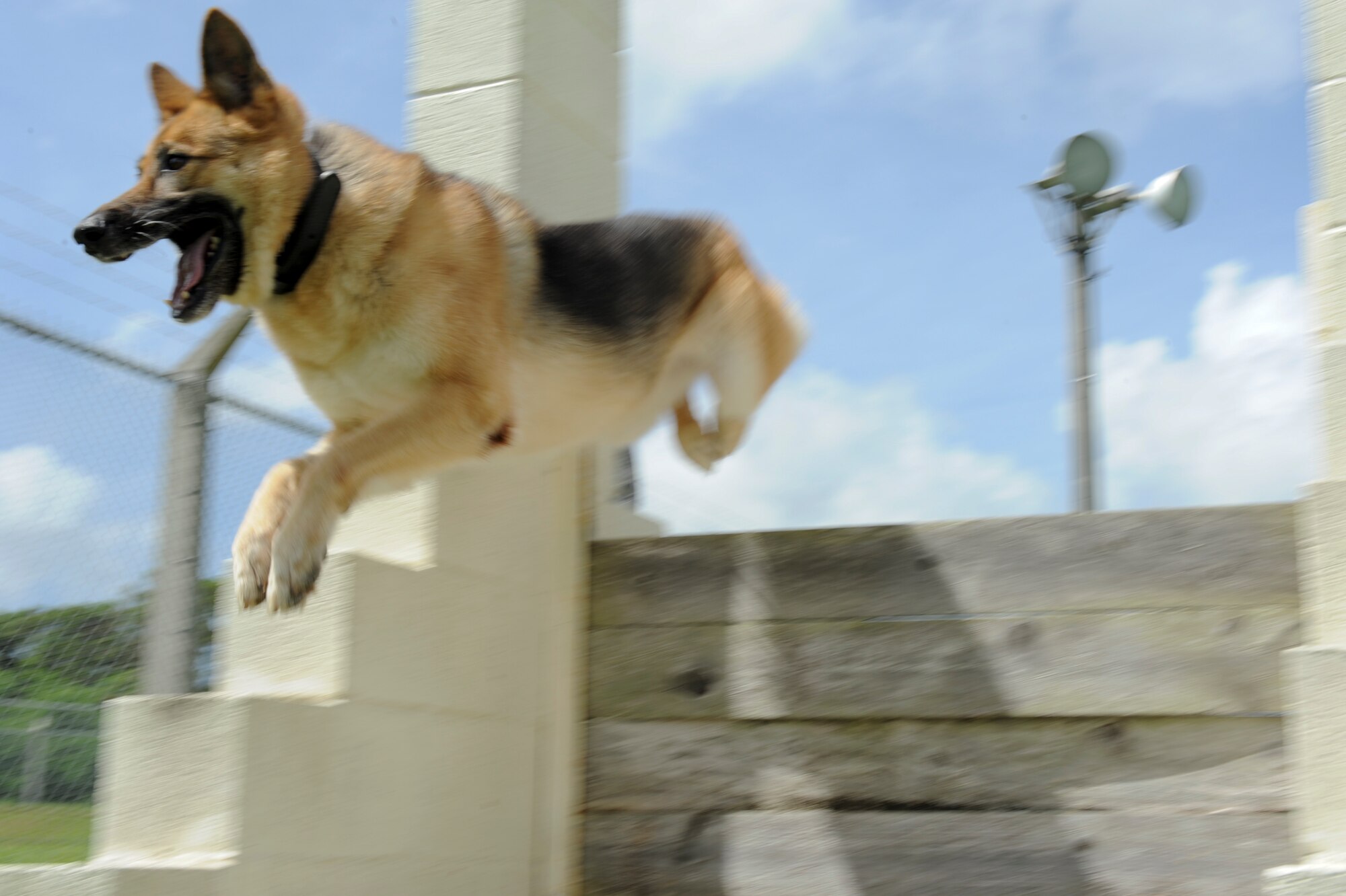 Zina, an 18th Security Forces Squadron Military Working Dog, leaps over a hurdle of the obstacle course at the 18th SFS kennels July 27. MWDs must go through an average of 120 days of training at Lackland Air Force Base, Texas. The course is broken down into patrol and detection. (U.S. Air Force photo/Airman 1st Class Brooke P. Beers)