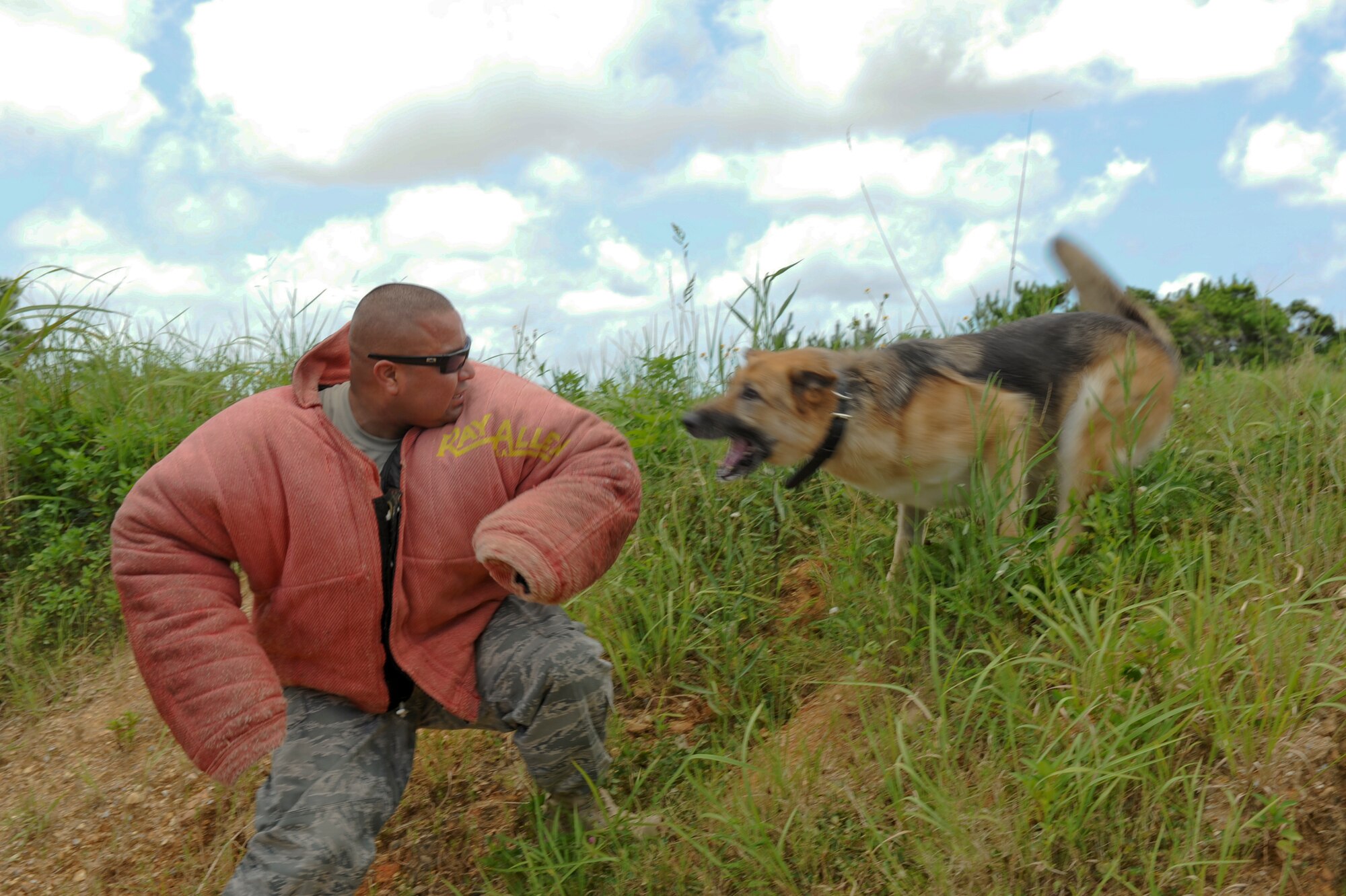 Zina, an 18th Security Forces Squadron Military Working Dog, is released to apprehend a decoy during training at Area 1 July 27. The 18th SFS implements MWDs into their career field to help find drugs and bombs, scout out suspects if they have fled the crime scene and conduct building searches for individuals. (U.S. Air Force photo/Airman 1st Class Brooke P. Beers)
