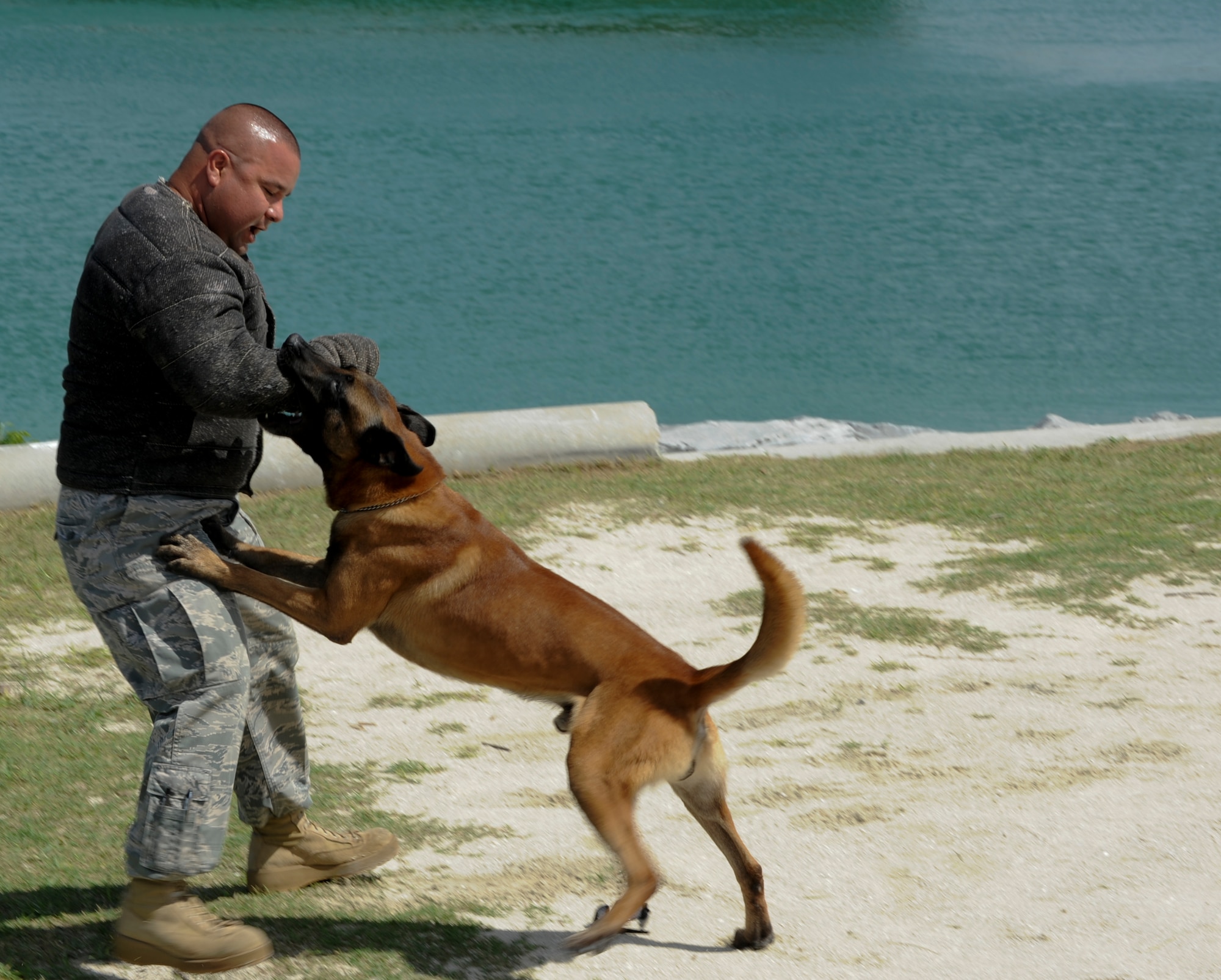 Tech. Sgt. Adolph Rodriguez Jr., 18th Security Forces Squadron Military Working Dog trainer, works on MWD Tico’s bite while he wears a tactical suit at the Kadena Marina July 27. Dog handlers must first have the proper time in service and attend a Department of Defense MWD school to learn the proper techniques before being assigned a dog. (U.S. Air Force photo/Airman 1st Class Brooke P. Beers)