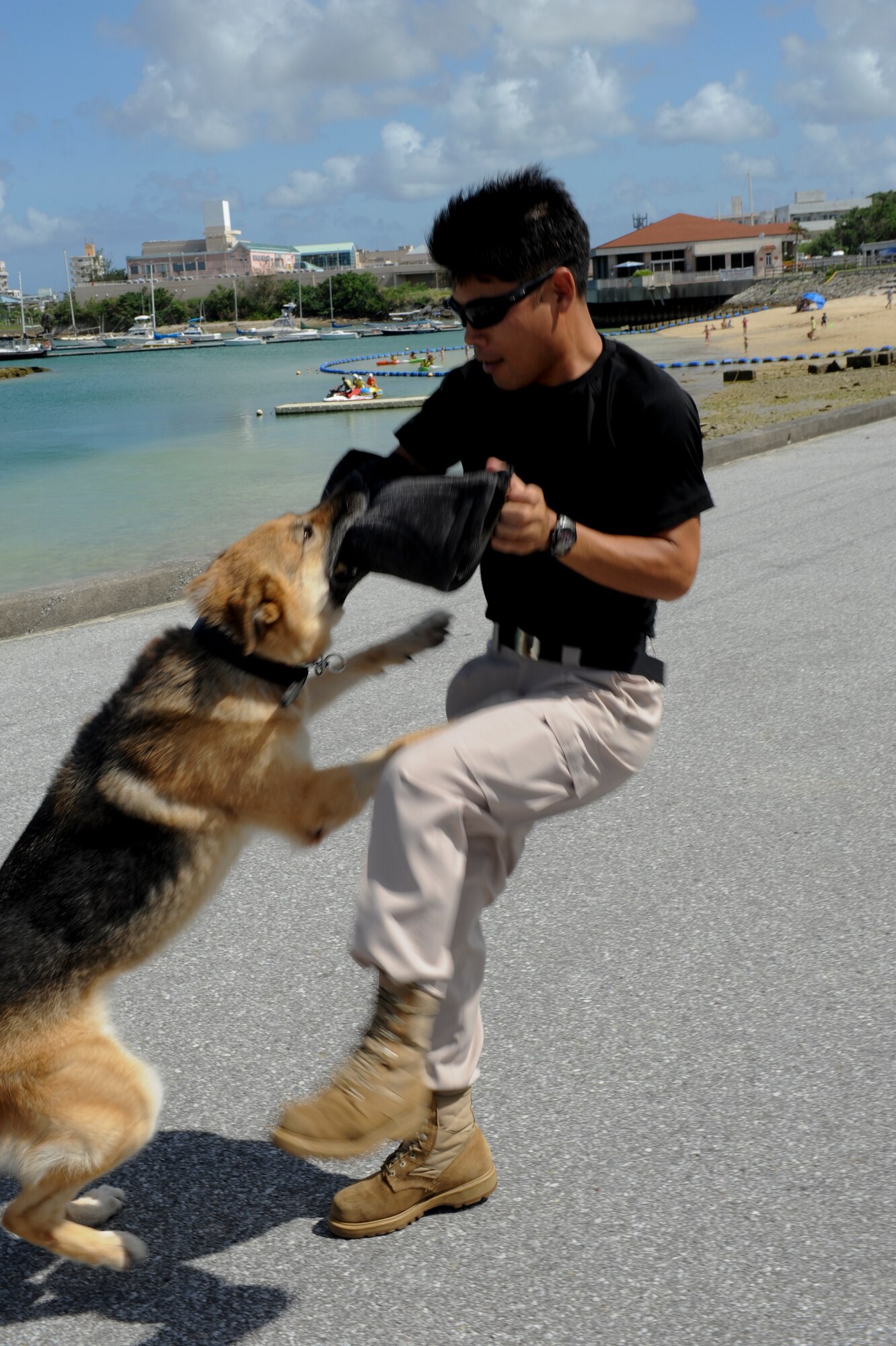 CG Shitestsu Hirata, 18th Security Forces Squadron Military Working Dog kennel assistant, acts as a decoy for MWD Zina to work on her bite at the Kadena Marina July 27. The 18th SFS implements MWDs into their career field to help find drugs and bombs, scout out suspects if they have fled the crime scene and conduct building searches for individuals. (U.S. Air Force photo/Airman 1st Class Brooke P. Beers)