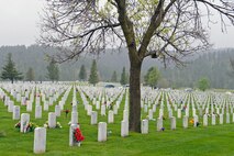 Multiple graves at the Black Hills National Cemetery, S.D. are decorated with flowers, May 29, 2011 to honor those who have served in the military.  Approximately 24,500 people visited the cemetery throughout Memorial Day weekend. (U.S. Air Force photo/Staff Sgt. Marc I. Lane)