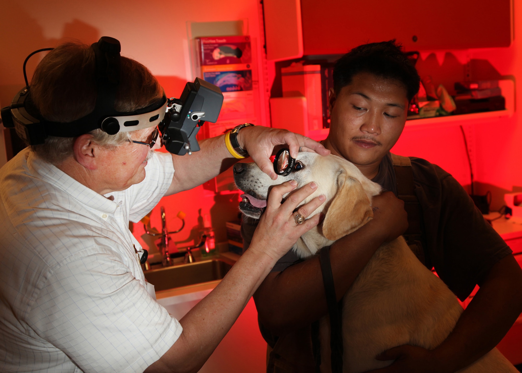 Dr. Robert Munger, a board certified veterinary ophthalmologist, gives Fritz, a military working dog, an eye exam at the Holland Working Dog Veterinary Hospital May 23. Fritz is being held by Isaac Felarca, an animal caretaker with the 341st Training Squadron. (U.S. Air Force photo/Robbin Cresswell) 