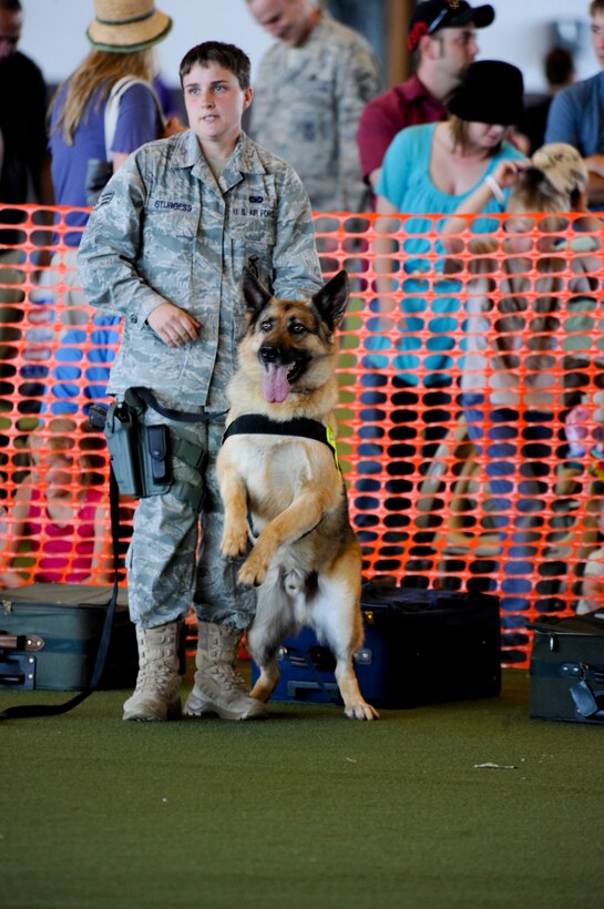 A 28th Security Forces Squadron military working dog handler prepares to demonstrate an exercise for the crowd at the 2011 Dakota Thunder airshow at Ellsworth Air Force Base, S.D., June 4, 2011. Members of the 28th SFS provided mission demonstrations and provided security for the airshow. (U.S. Air Force photo/Senior Airman Adam Grant)