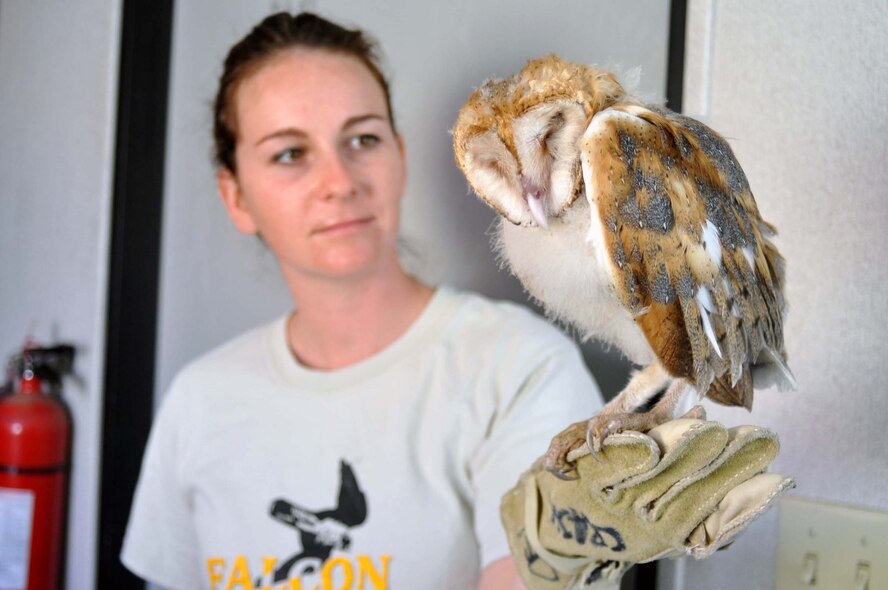 Rebecca Rosen, a wildlife control officer with Falcon Environmental Service, holds a two-month-old Barn Owl chick at March Air Reserve Base, Calif., June 1, 2011.  Col. Karl McGregor, 452nd Air Mobility Wing commander, rescued the disoriented chick from a street near his house just hours before.  (U.S. Air Force photo/Linda Welz)