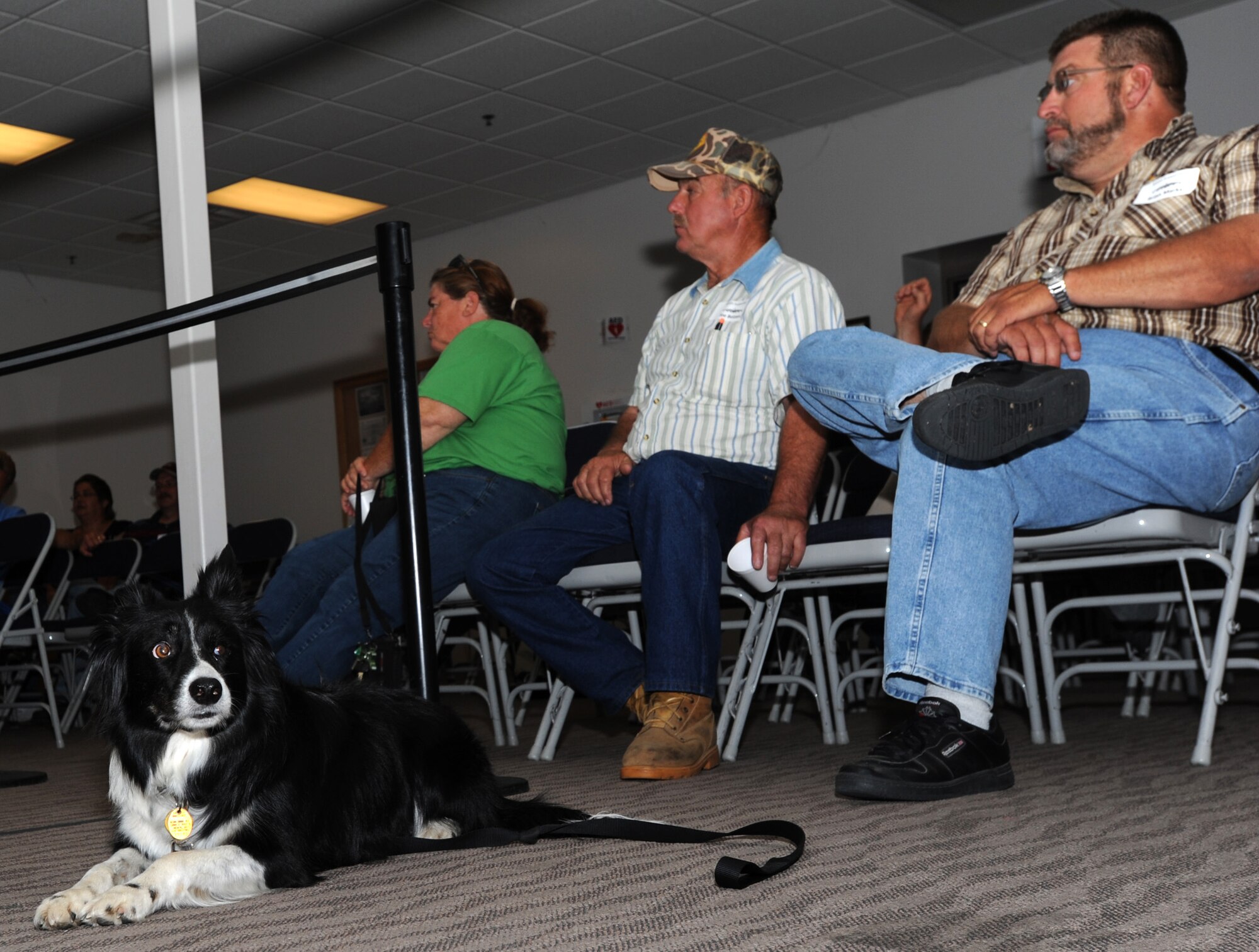 Vasi, a bird-control dog, waits as landowners learn about the bird aircraft hazard program June 7, 2011, McConnell Air Force Base, Kan.  The landowners allow their land to be used to reduce the number of bird flocks that create hazards for the KC-135 Stratotankers assigned to McConnell. (U.S. Air Force photo/ Airman 1st Class Laura L. Valentine)