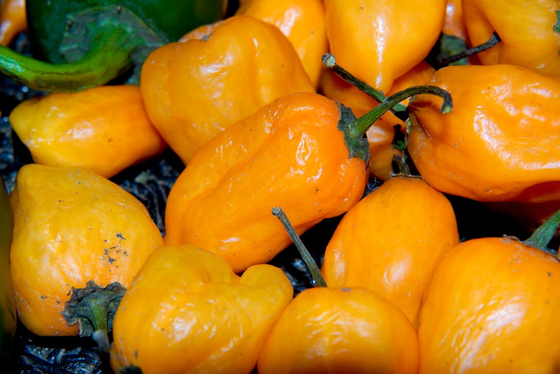 KUNSAN AIR BASE, Republic of Korea -- Eating healthy and exercising right can help reduce the risk of heart disease, cancer and other life-threatening conditions. (U.S. Air Force photo/Senior Airman Benjamin Stratton)