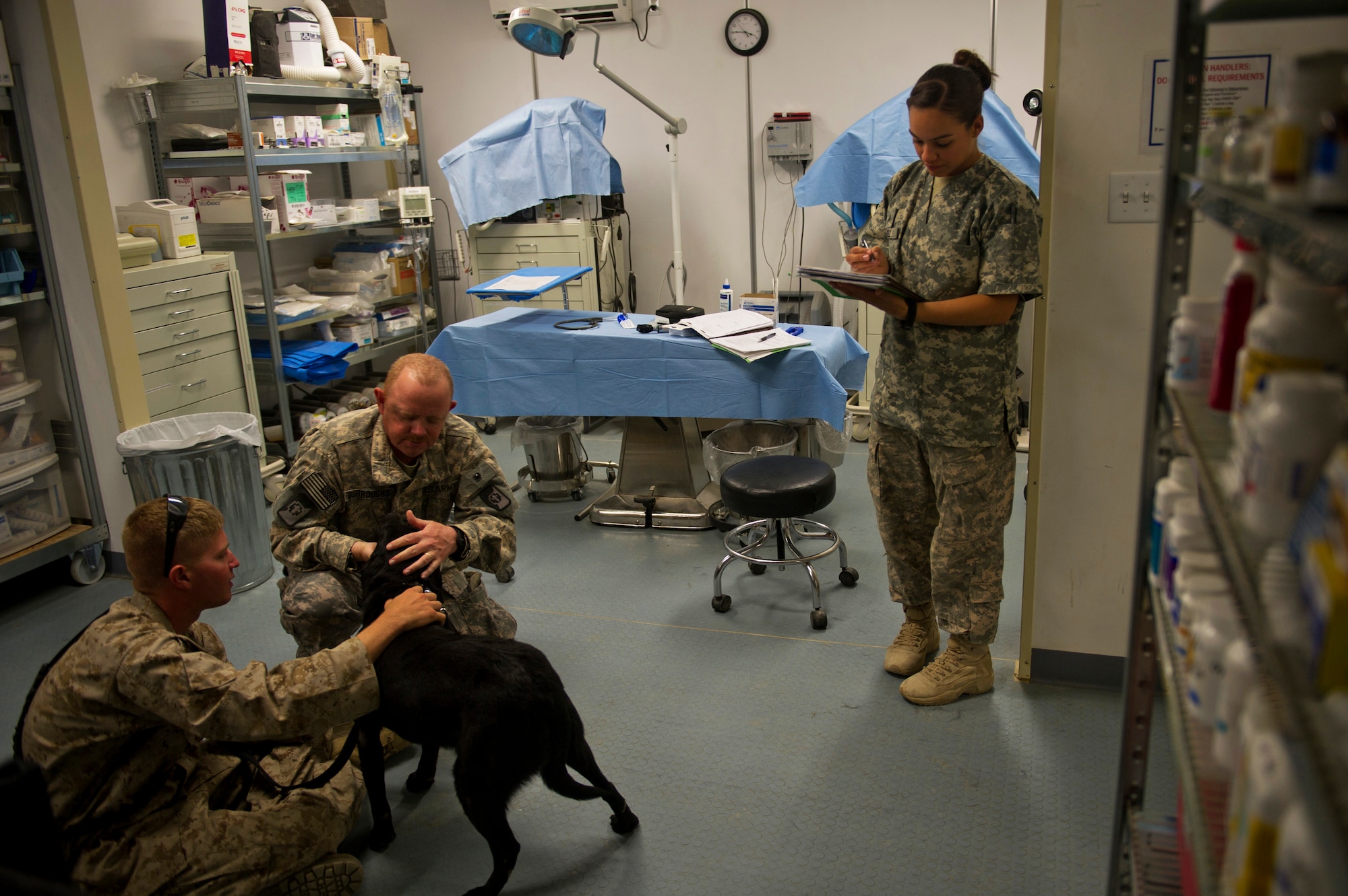 U.S. Army Capt. James Burroughs, 358th Medical Detachment Veterinary Services, examines a Marine Corps military working dog at the Camp Leatherneck veterinary clinic, Afghanistan, during a routine physical check up of the dogs on the camp. The veterinary clinic is responsible for providing medical care for all the MWDs on the camp. (U.S. Air Force photo/Master Sgt. Adrian Cadiz)(Released)