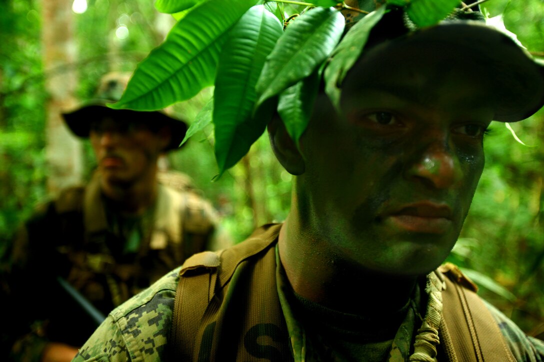 Sgt. Kairo Ortez (right), the platoon sergeant for 2nd Platoon, Landing Force Company, and HM3 Marcus Green, corpsman, LF Company, patrol through the jungles of Eram Sisik June 11. The Marines and sailors learned tactics for jungle operations from their Malaysian counterparts from 8th Royal Ranger Regiment, Malaysian Army. The training is part of Cooperation Afloat Readiness and Training (CARAT) 2011. CARAT is an annual series of bilateral exercises held between the U.S. and Southeast Asian nations with the goals of enhancing regional cooperation, promoting mutual trust and understanding, and increasing operational readiness throughout the participating nations.  While in Malaysia, U.S. and Malaysian service members trained together on jungle, urban and amphibious operations.